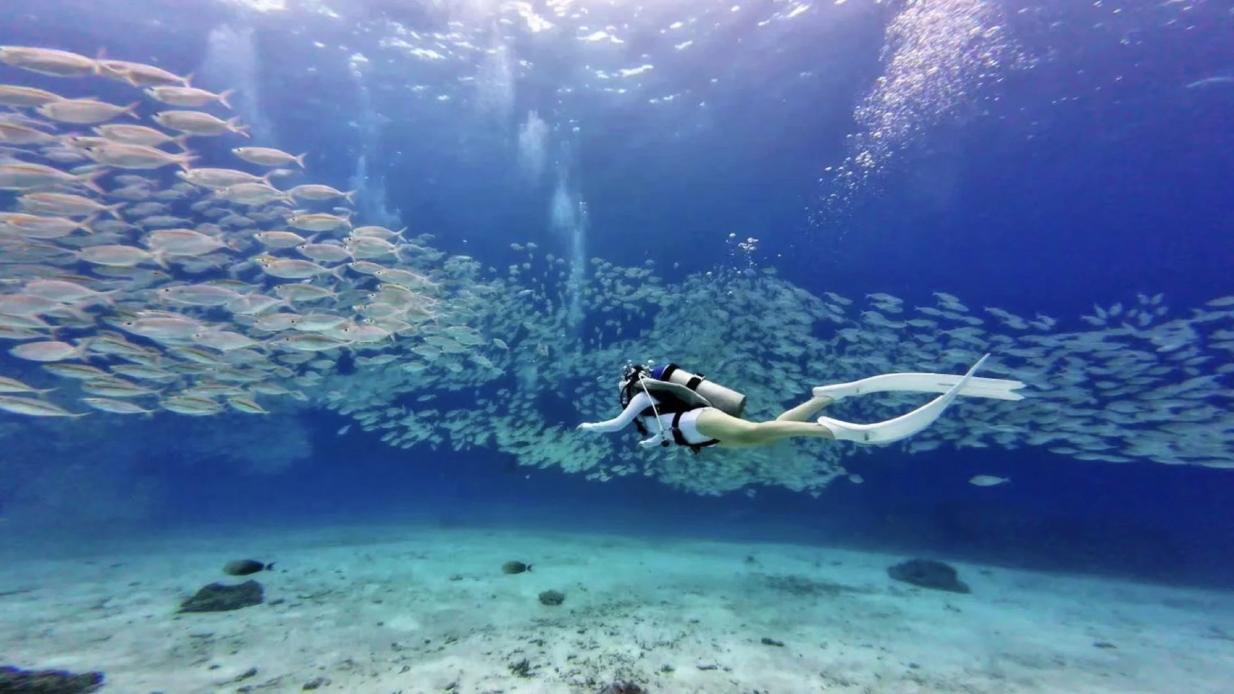 Snorkeler and diver in clear Phuket reef water for GoBuddy diving trips