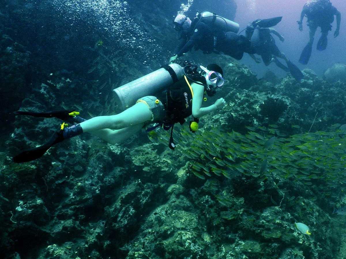 Phi Phi reef dive
