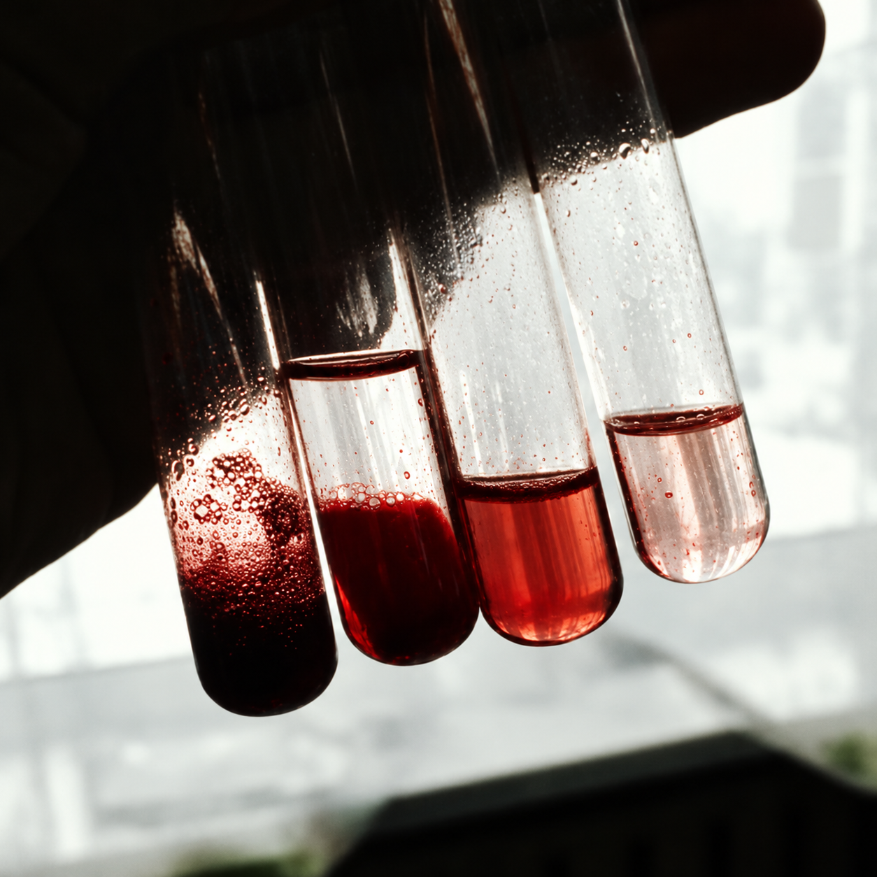 Backlit Blood-Filled Test Tubes.png