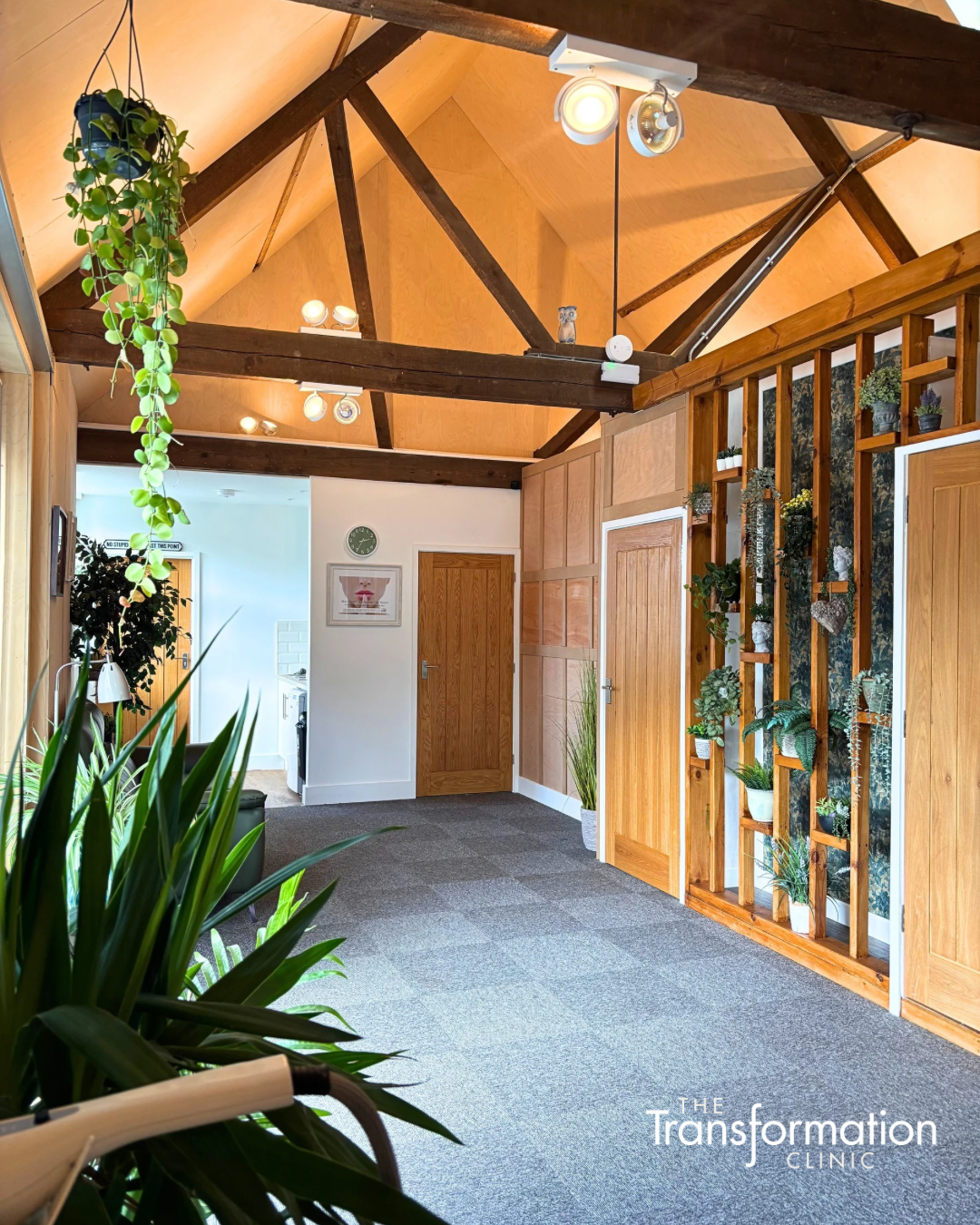 Interior view of a room with wooden beams on the ceiling, potted plants on a wooden wall partition, and a carpeted floor. The room has natural light and decor including a hanging plant and framed artwork. A clock and owl figurine are on the wall in the background.