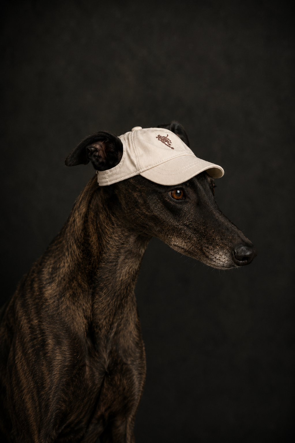 The Greyhound Cap - Oat