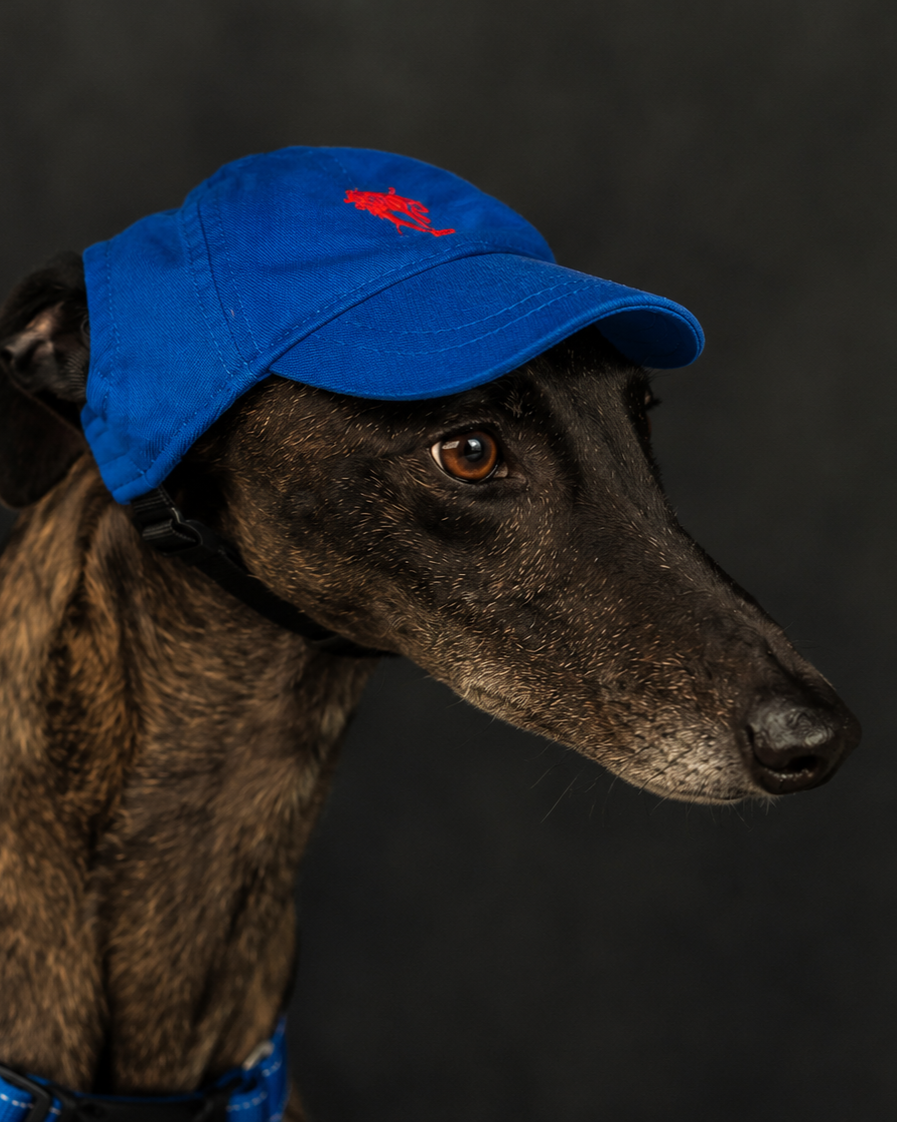 The Greyhound Cap | Pre-Order
