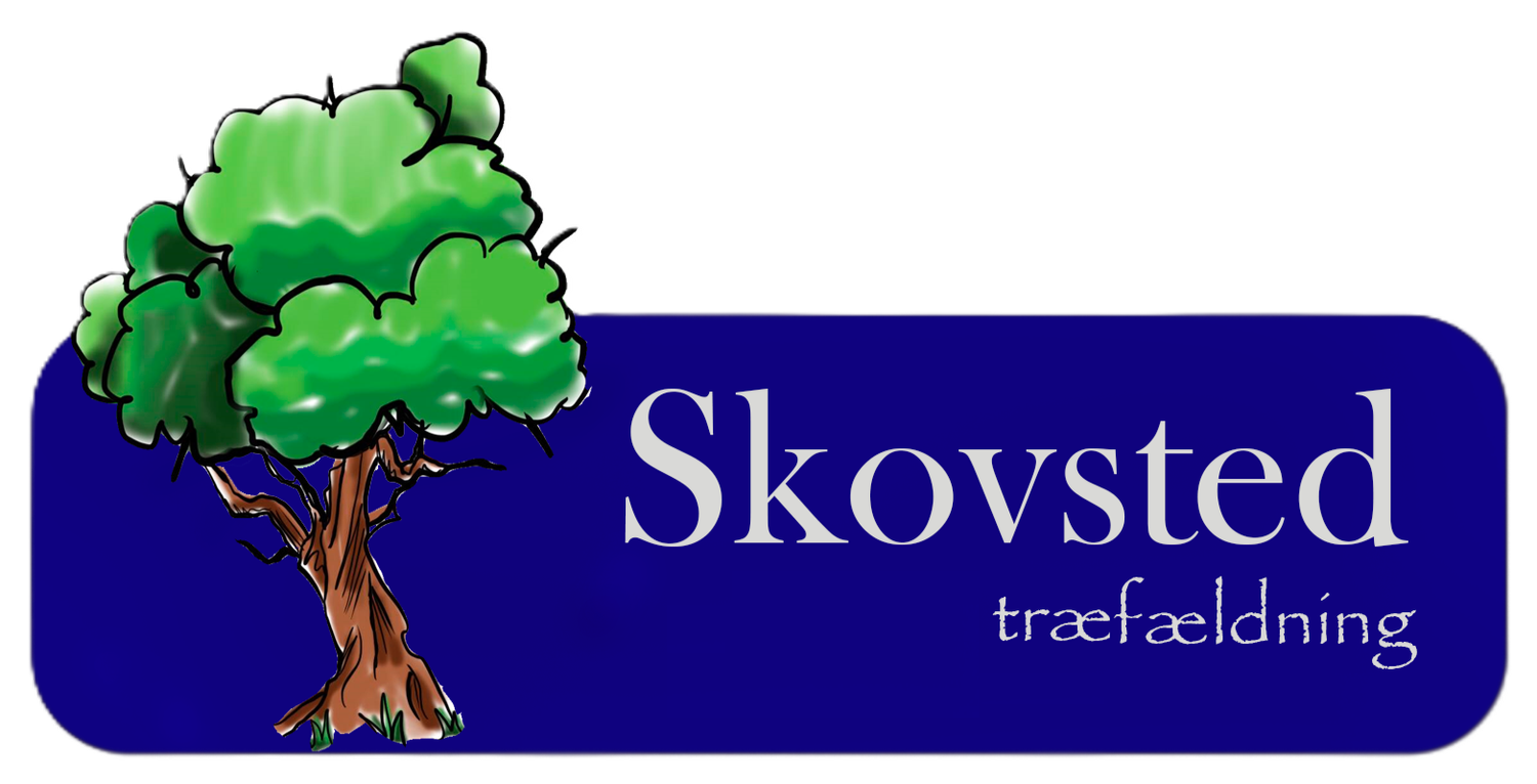 Skovsted Træfældning (Copy)