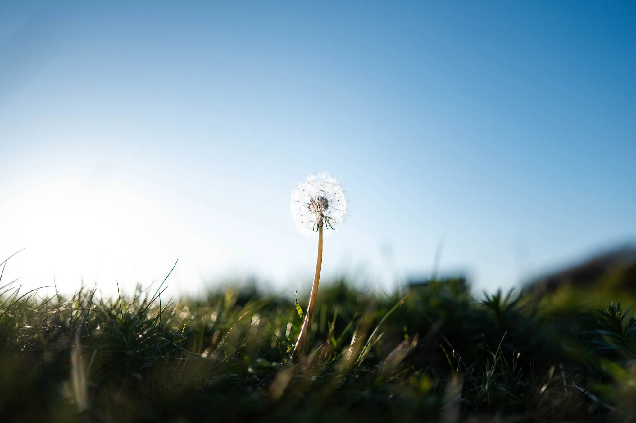 lightkeep-gallery-rottingdean-spring-walk.jpg