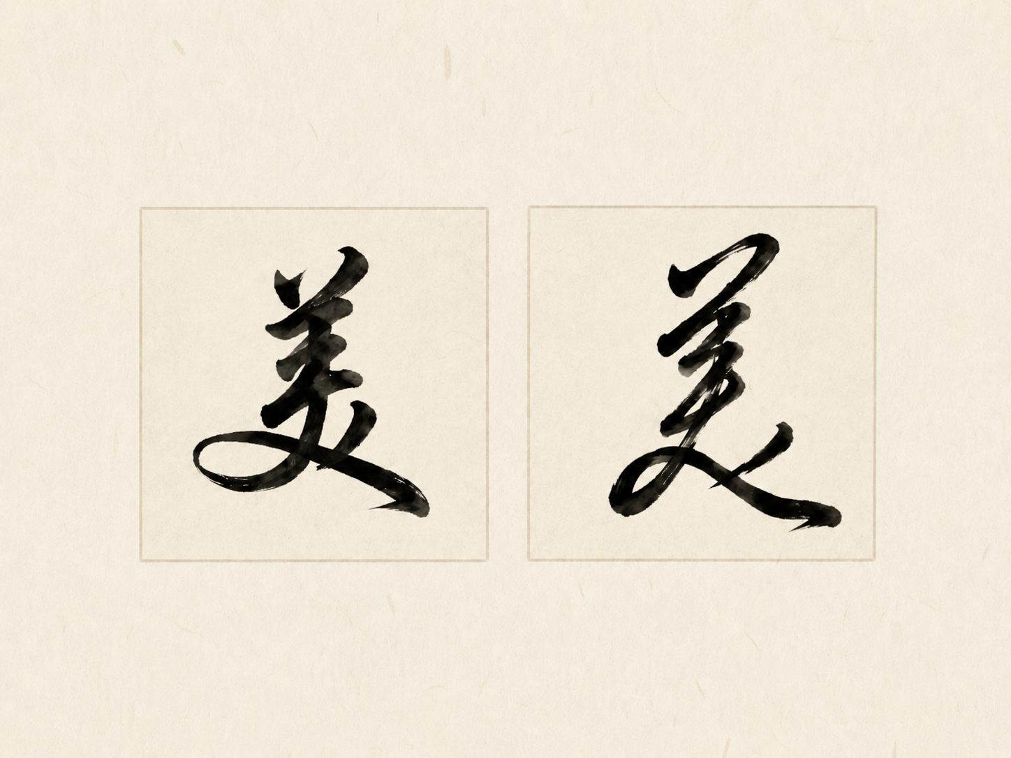 Two Chinese calligraphy examples of the character 美, meaning beauty, shown side by side in different script styles on textured paper.