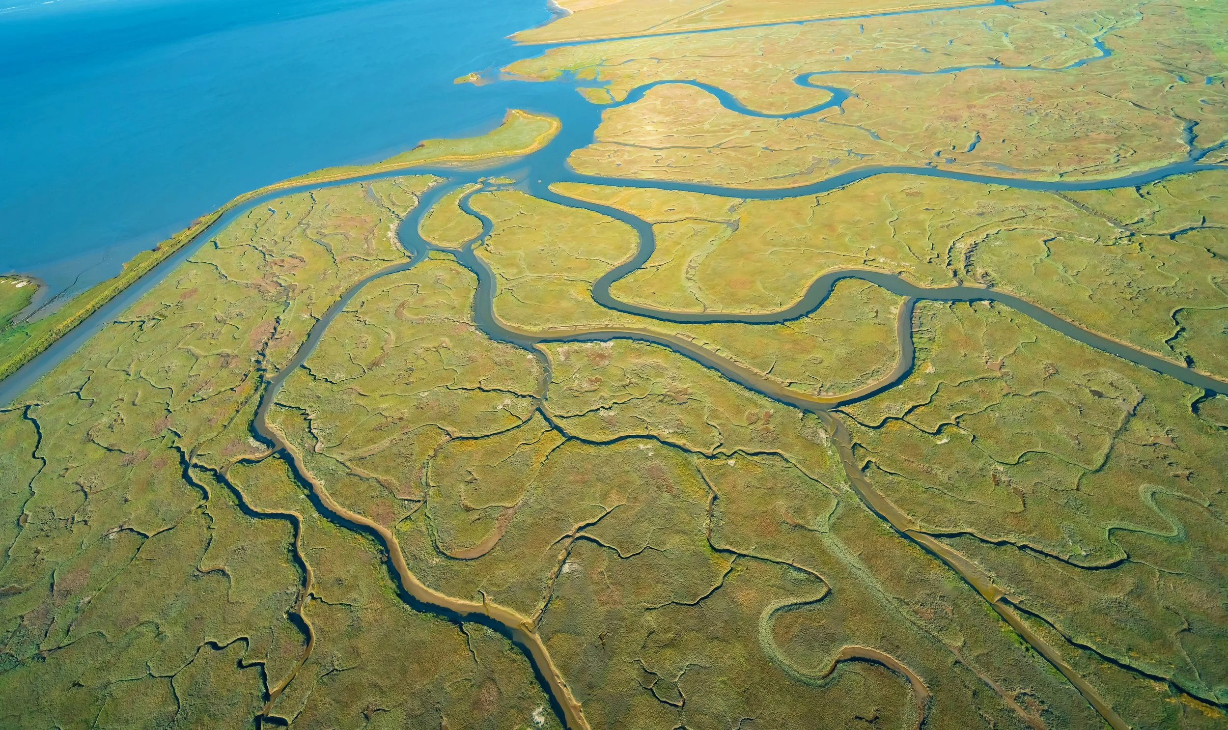 Aerial view of a river delta with multiple winding waterways and green marshy land.