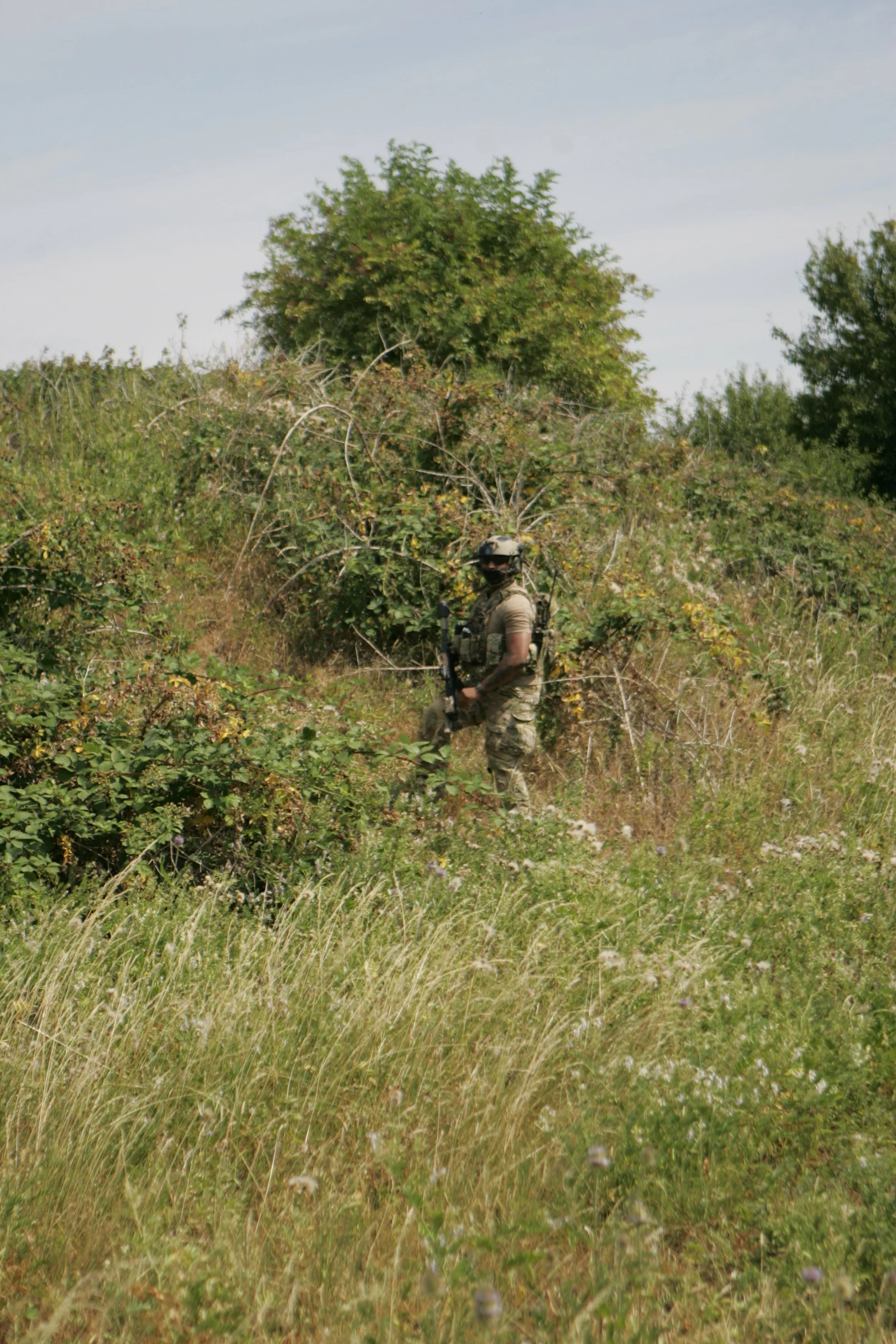 Soldier in camouflage uniform and helmet standing in a grassy field with bushes and trees.