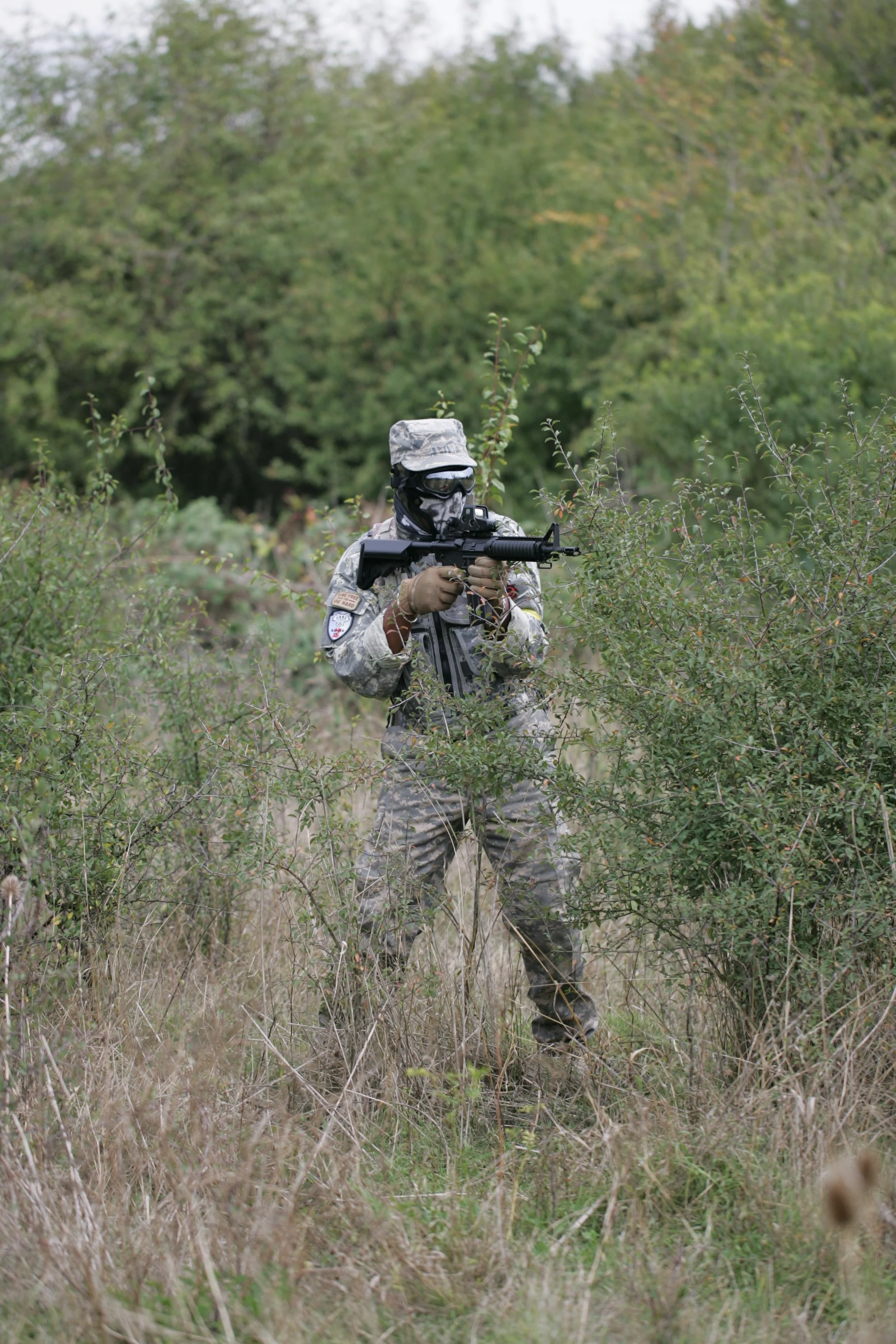 IW8B0063.JPG