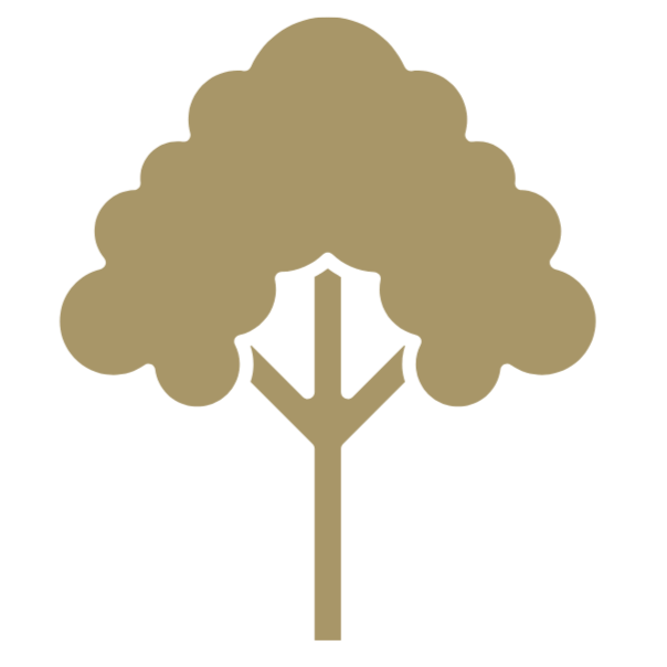 A stylized icon of a tree with a brown trunk and dark green foliage outlined in black.