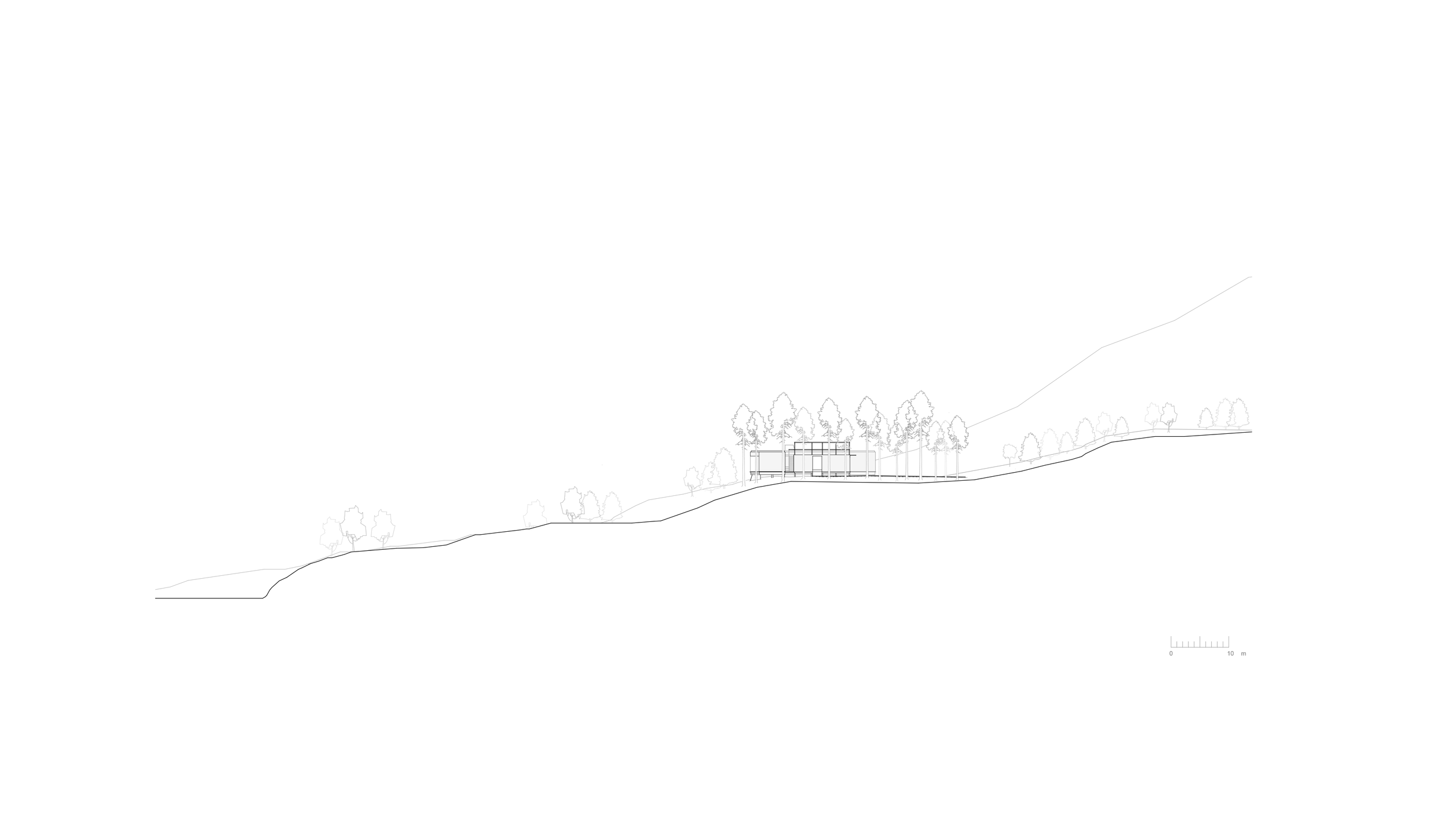 D2_Site section.png