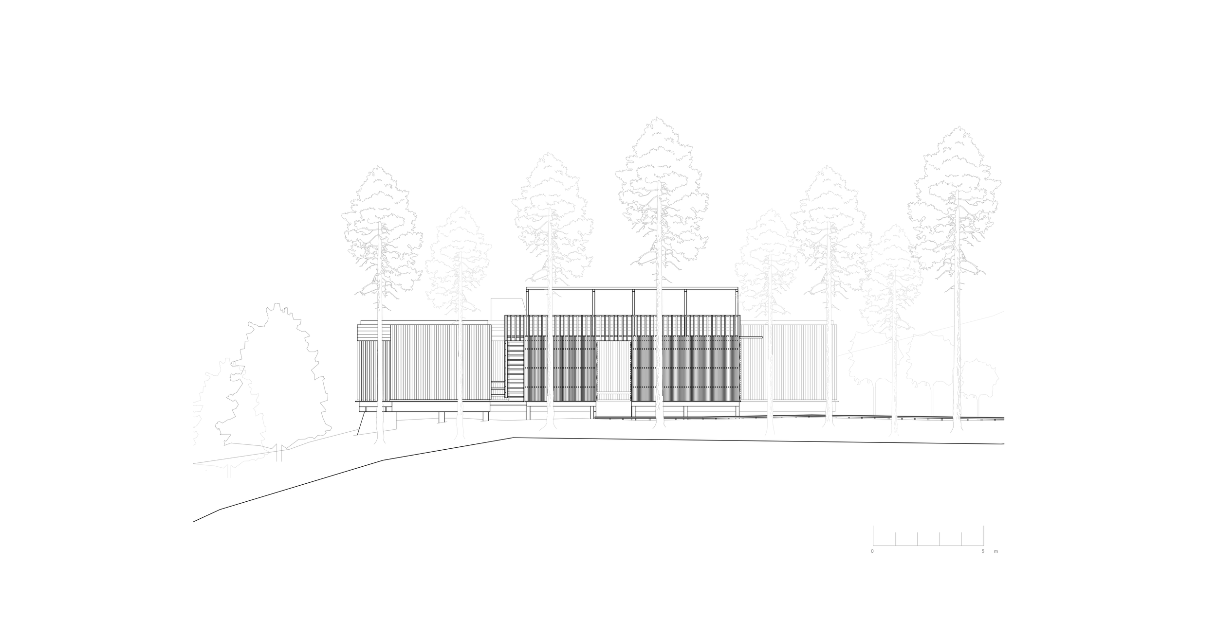 D7_Elevation North.png