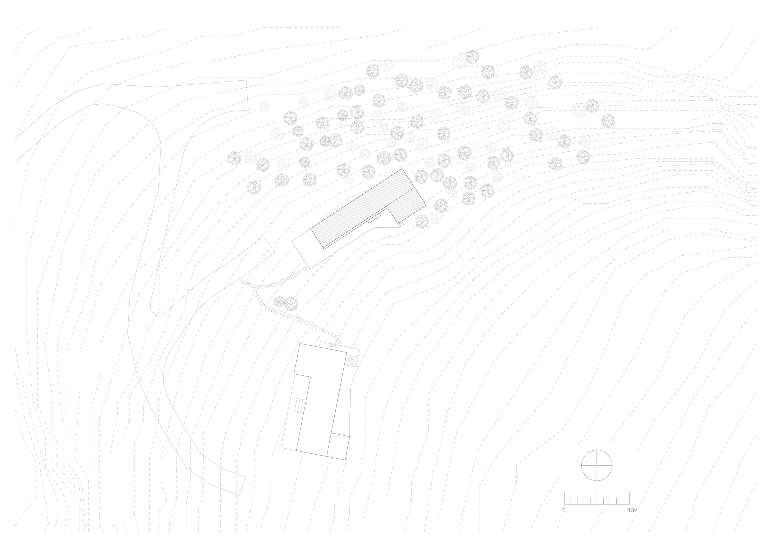 D1_Site plan.jpg