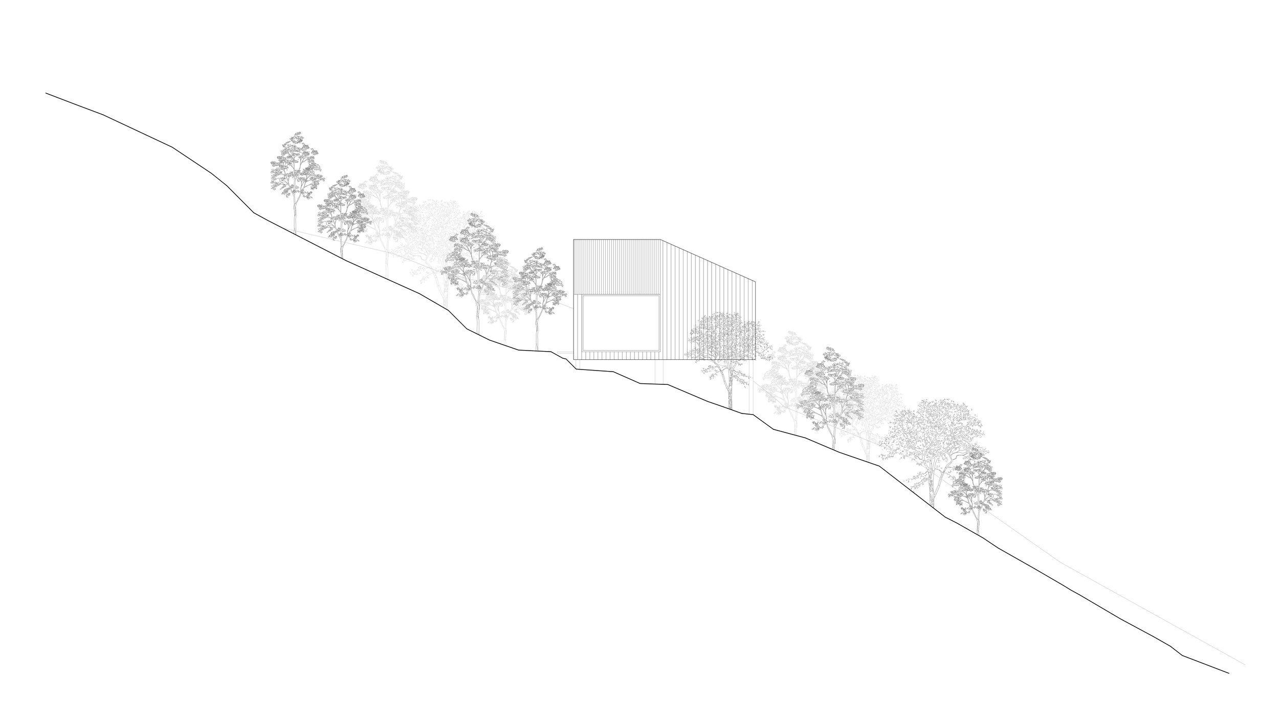 D5 Elevation Northeast.jpg
