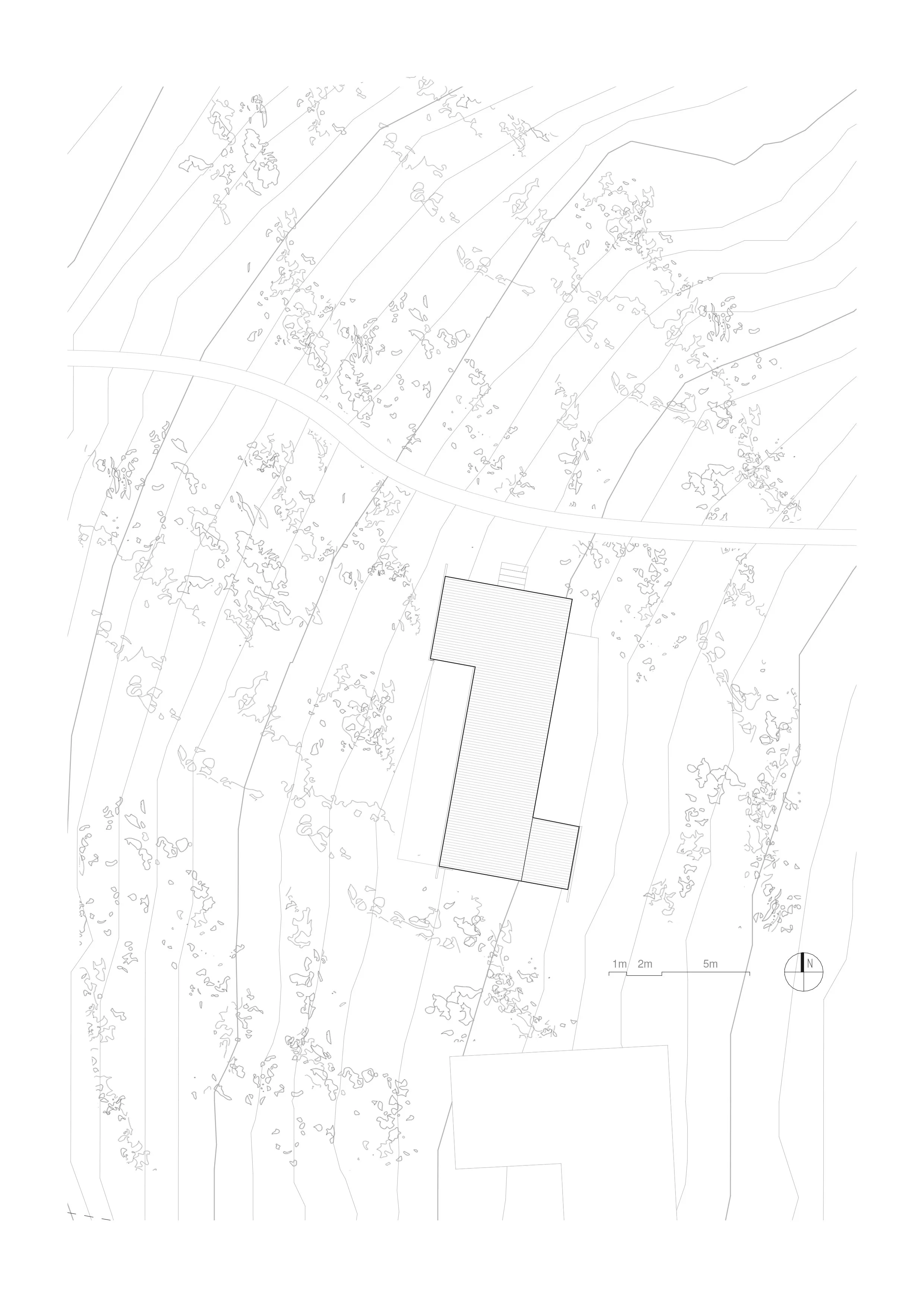 Site.jpg