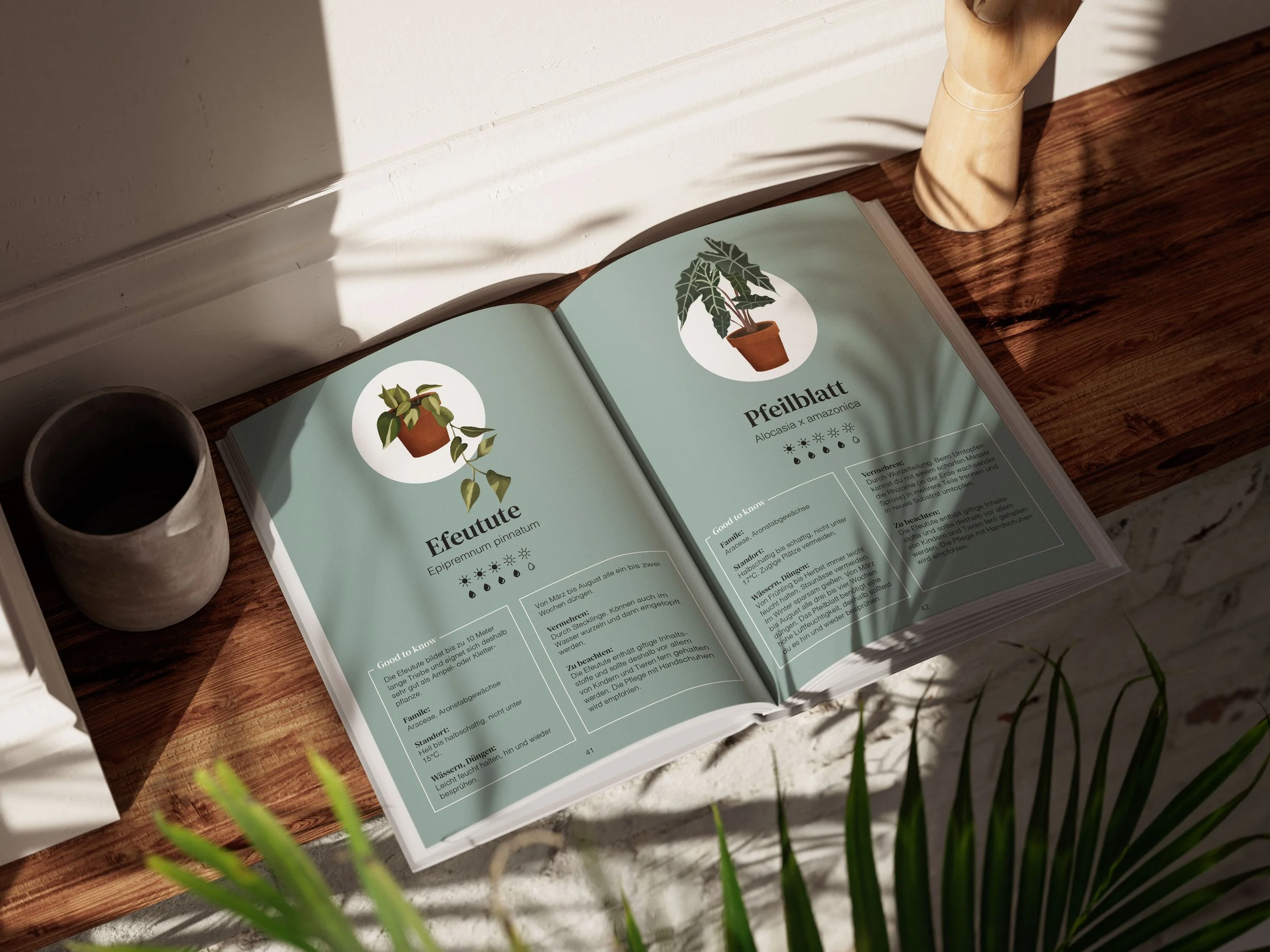 Ein offenes Buch liegt auf einem Holzbrett, auf der linken Seite eine graue Keramik-Tasse. Das Buch enthält Bilder und Informationen über Zimmerpflanzen, darunter eine Pfeilblatt-Pflanze.