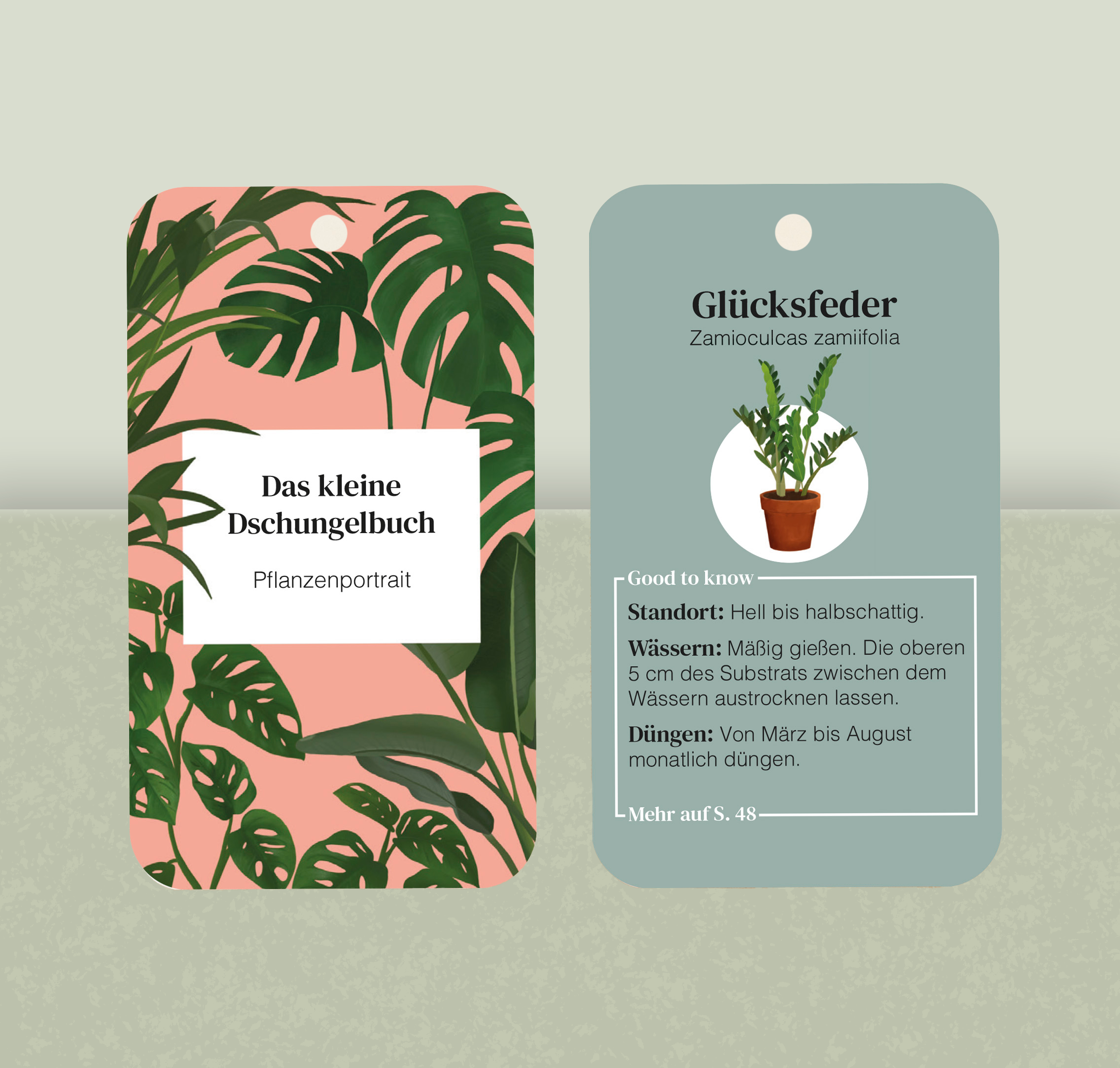 Illustration zweier Pflanzentafeln mit Monstera und Zamioculcas, Schreibfläche mit deutschem Text über Pflanzentipps