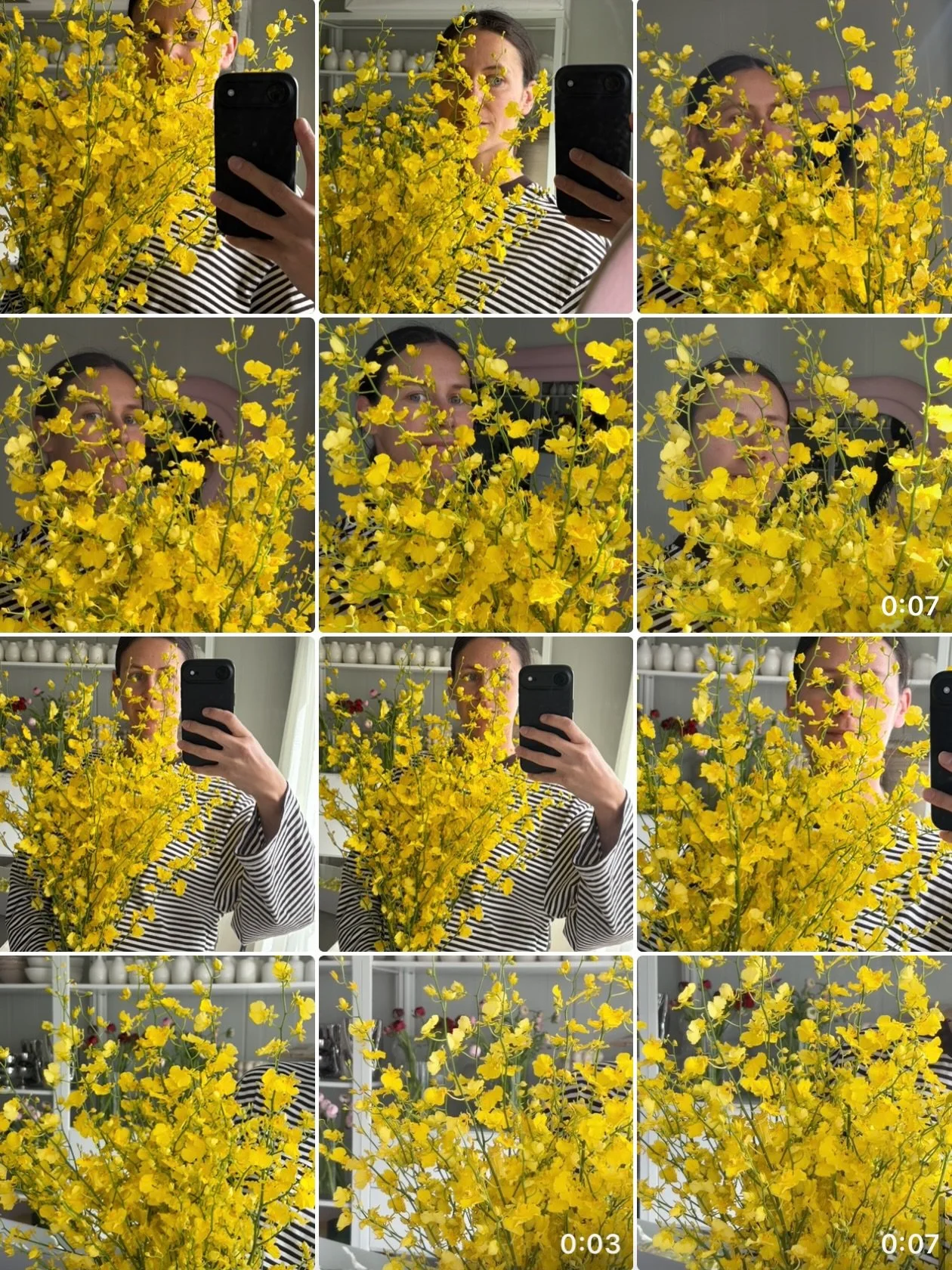 Oncidiums forever 💛💛💛 @newzealandbloom