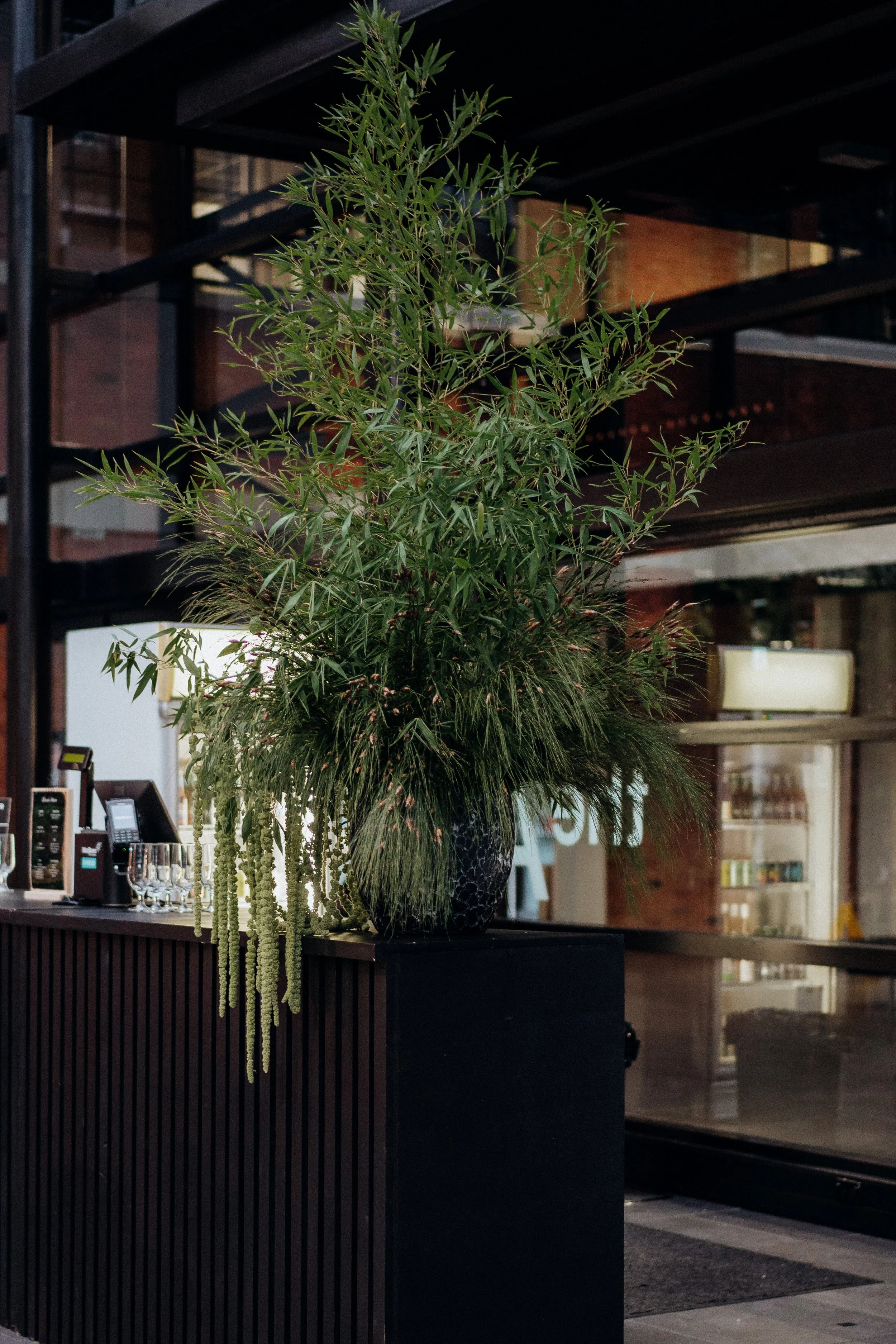 Foliage installation