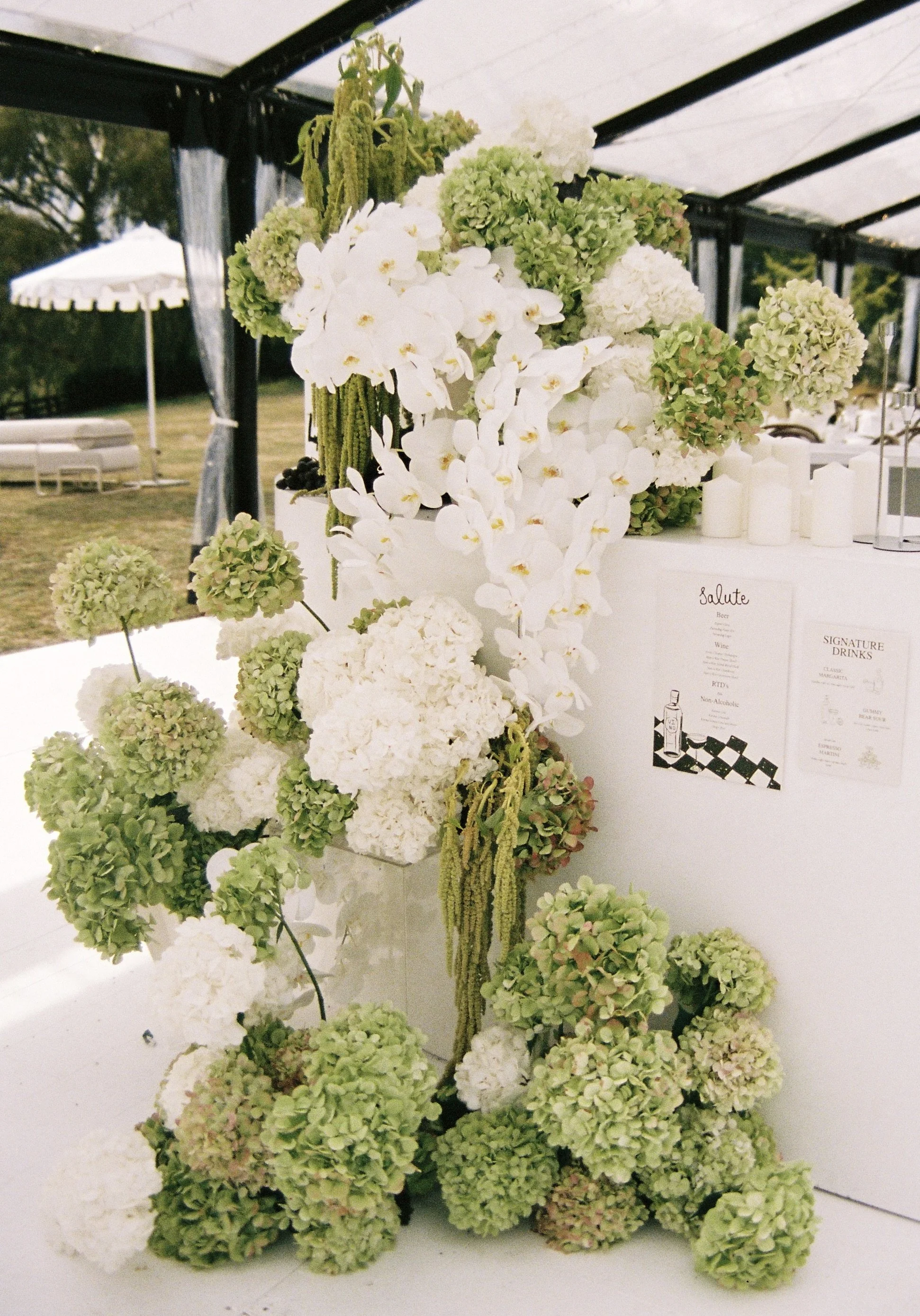 Hydrangea installation