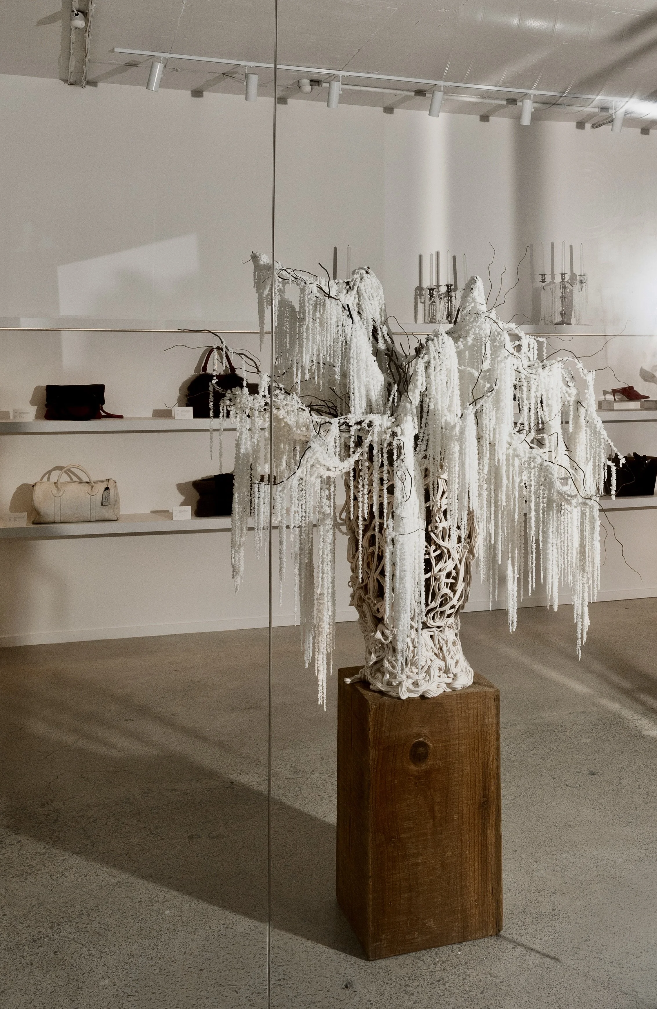 Amaranthus installation for Deadly Ponies