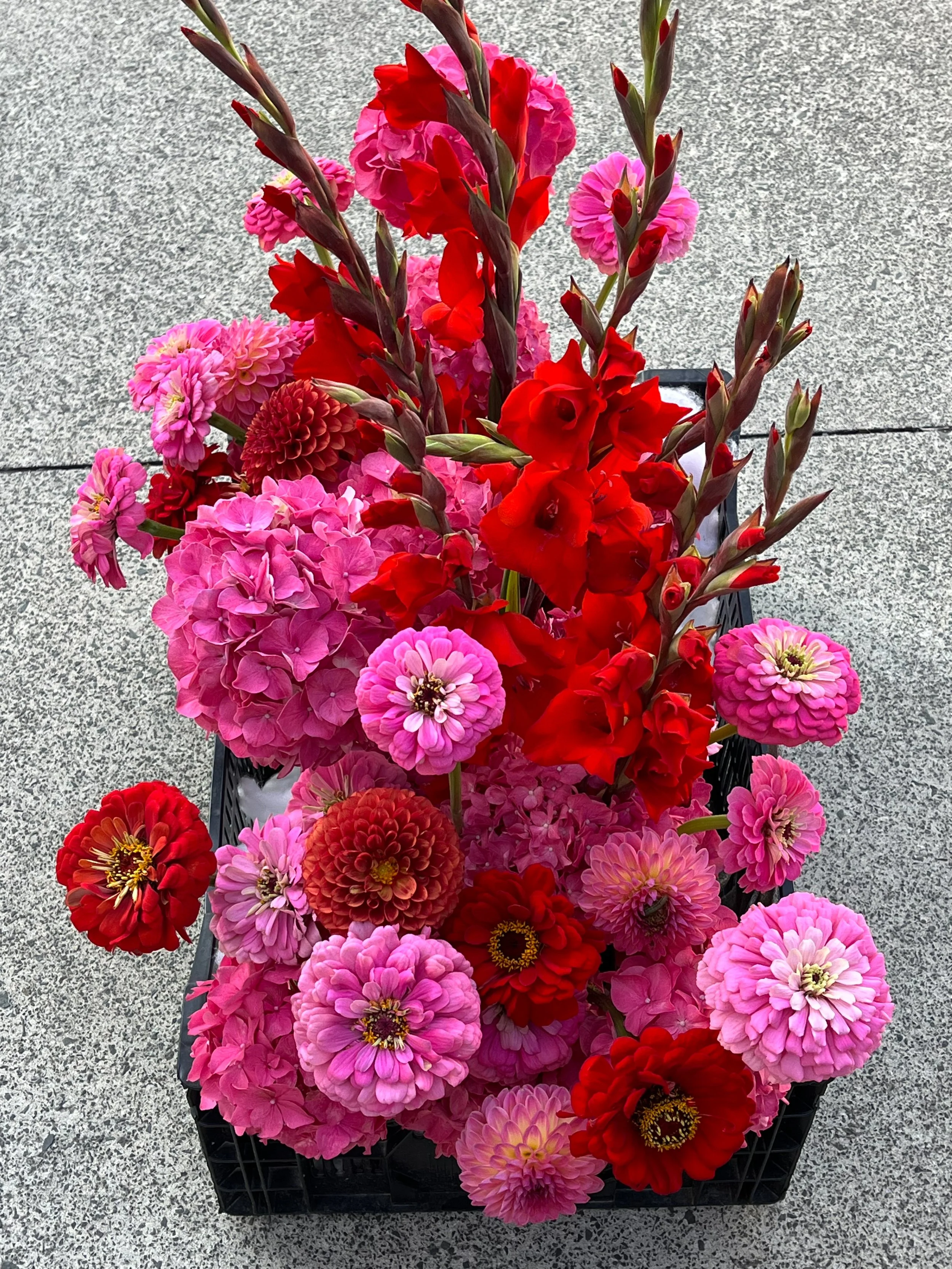 A black plastic crate filled with a variety of vibrant pink and red flowers, including zinnias and gladiolus, placed on a gray speckled concrete surface.