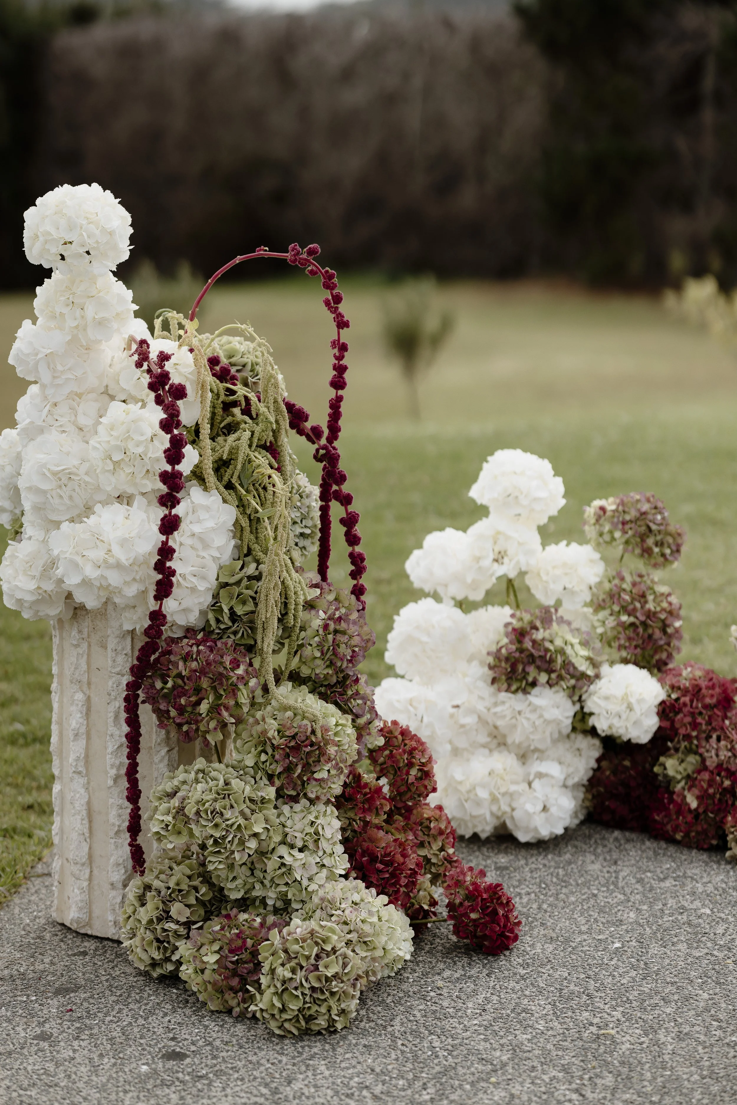 Hydrangea ceremony