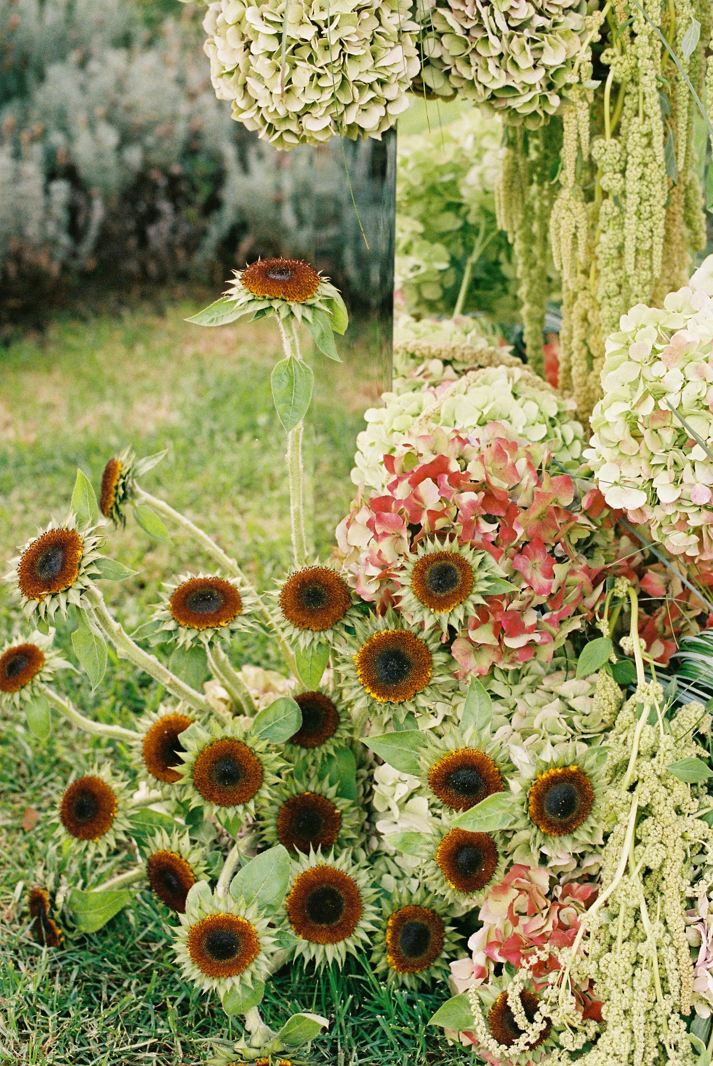 Ceremony flowers with sunflowers, hydrangea and amaranthus
