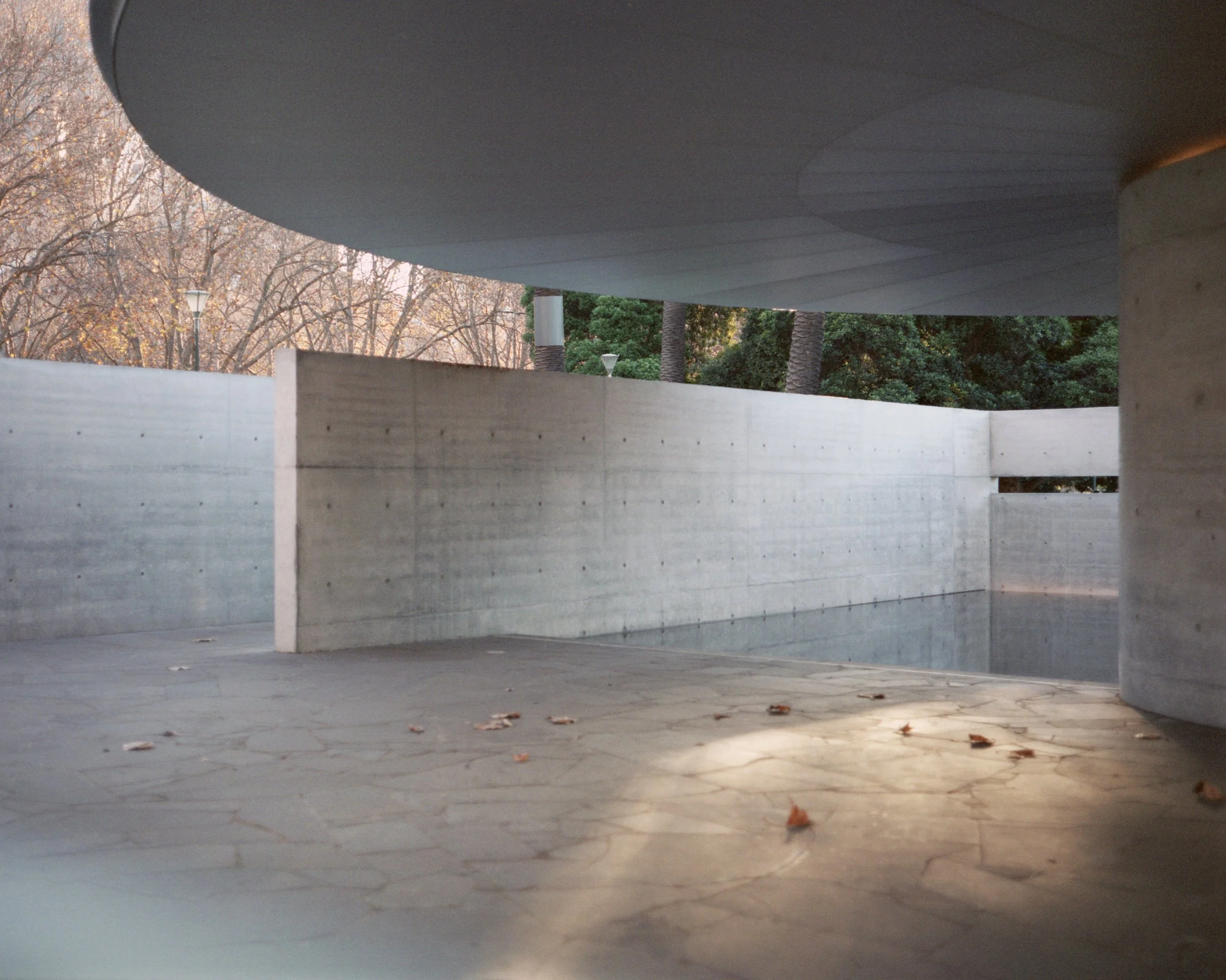 MPavilion_Mengzhu_11.jpg