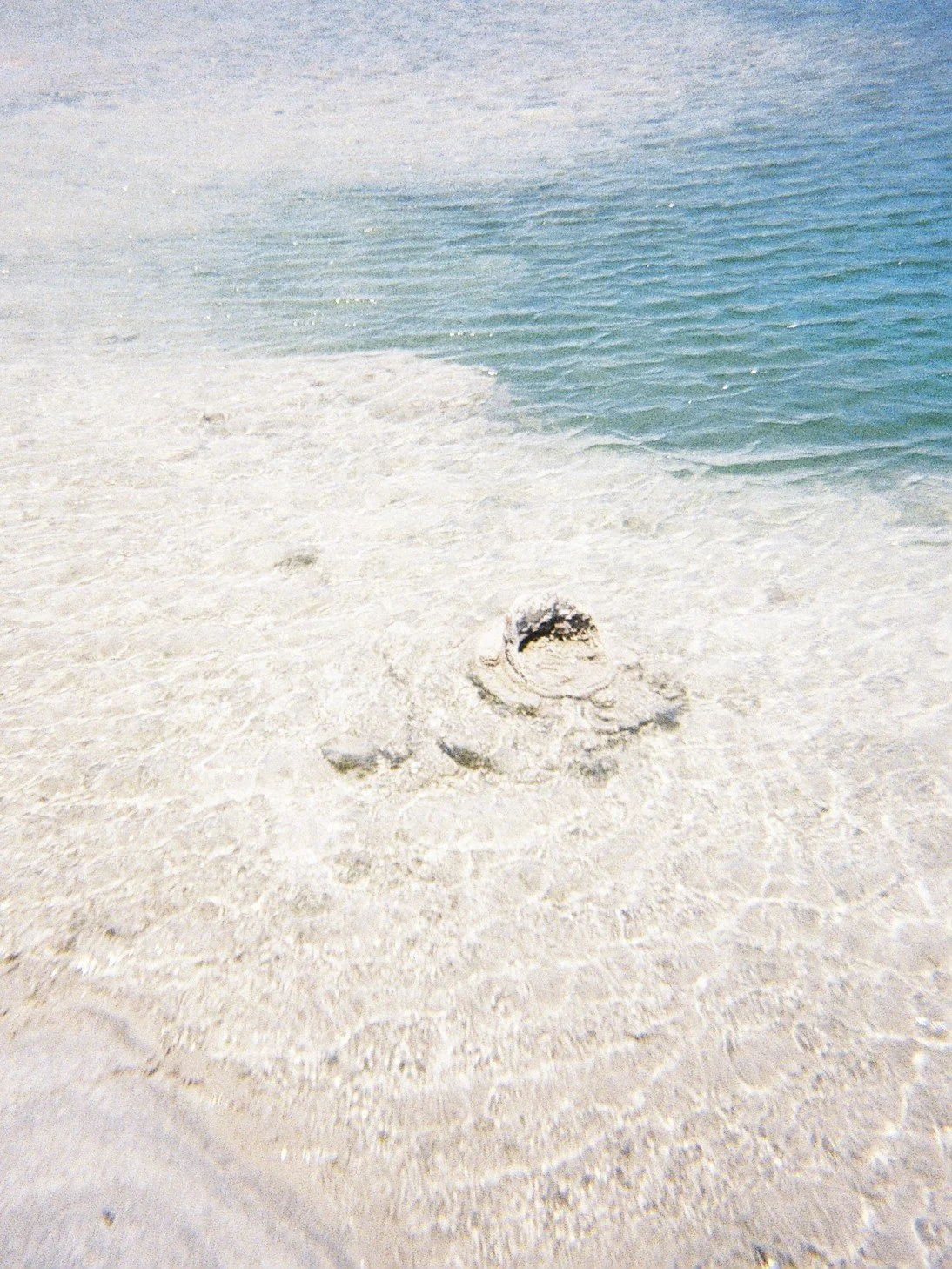 FILM (11).jpg