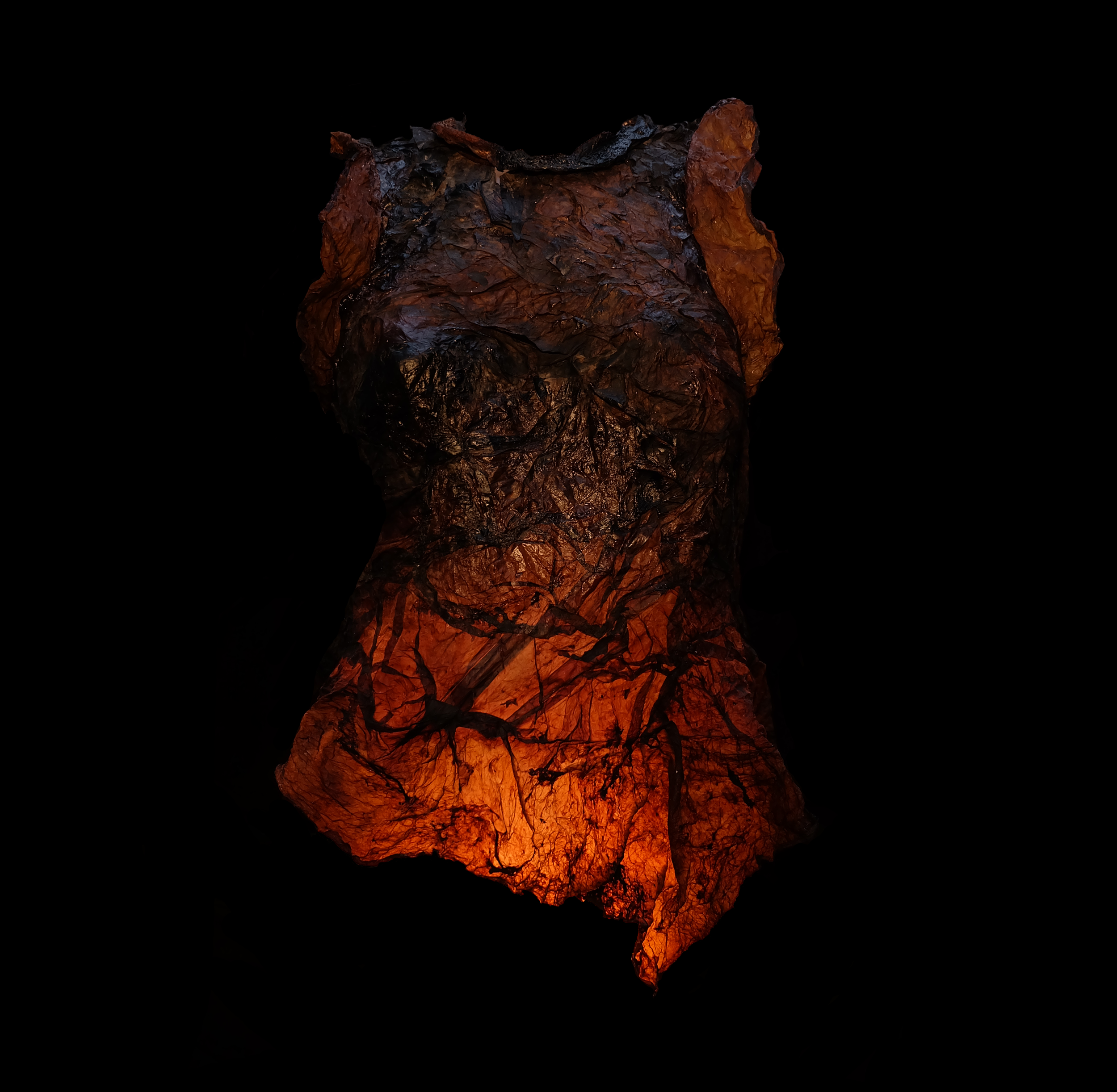 Rusted Scoby top.png