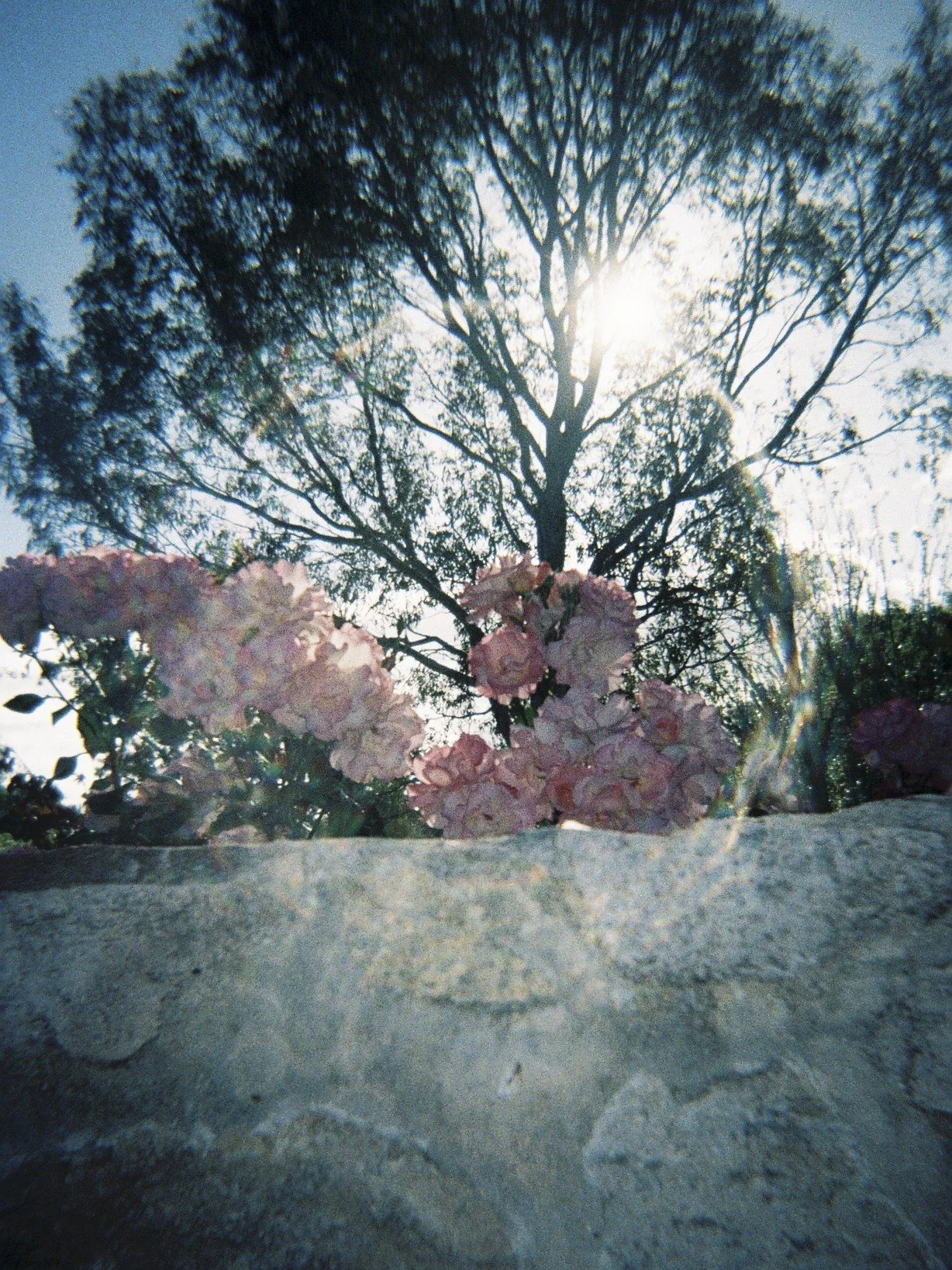 FILM (12).jpg