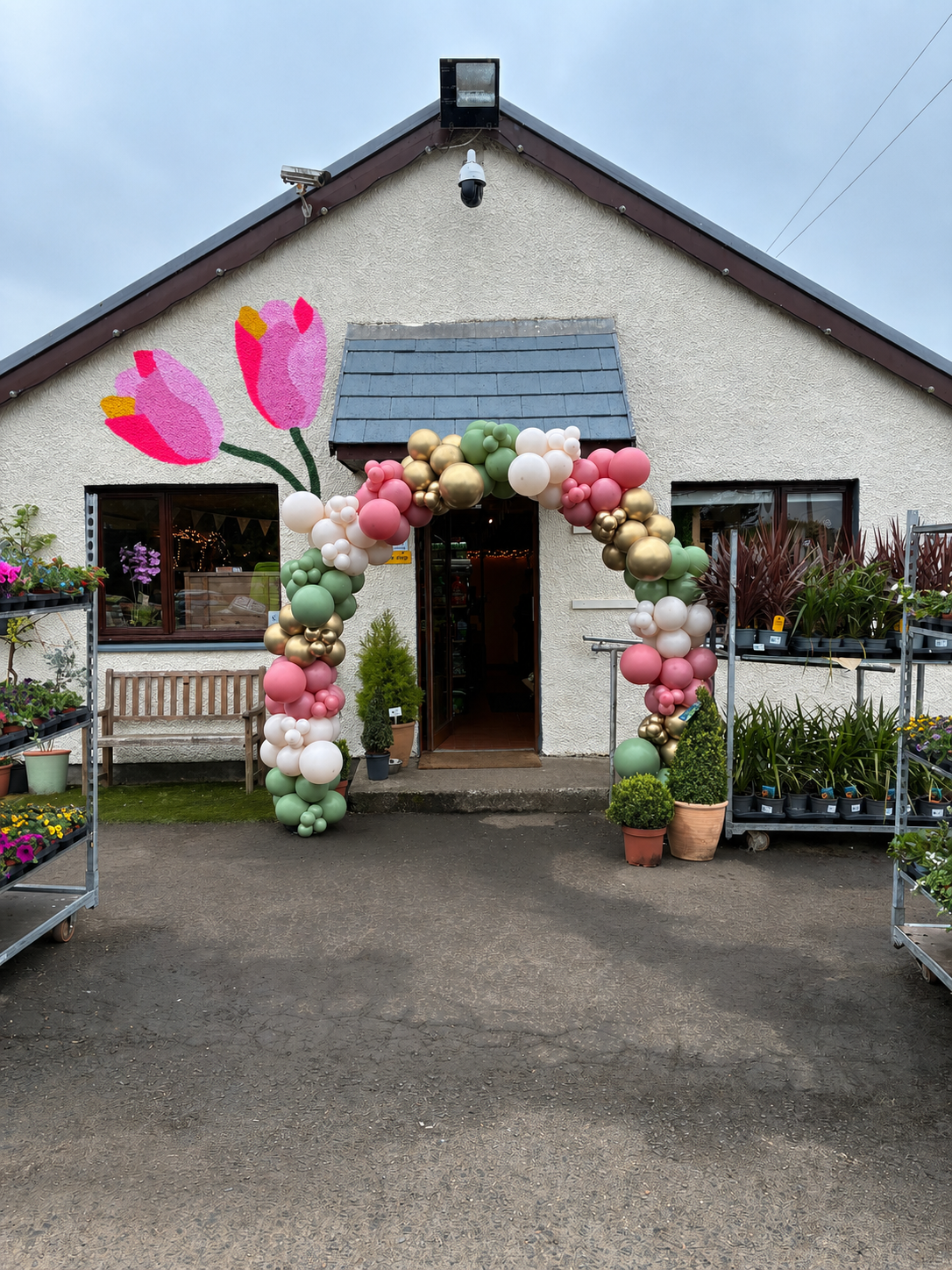 Decorated entrance of a flower shop with pink, white, gold, and green balloons forming an arch. A painted tulip mural on the building's upper wall, potted plants and flowers, and a wooden bench outside.