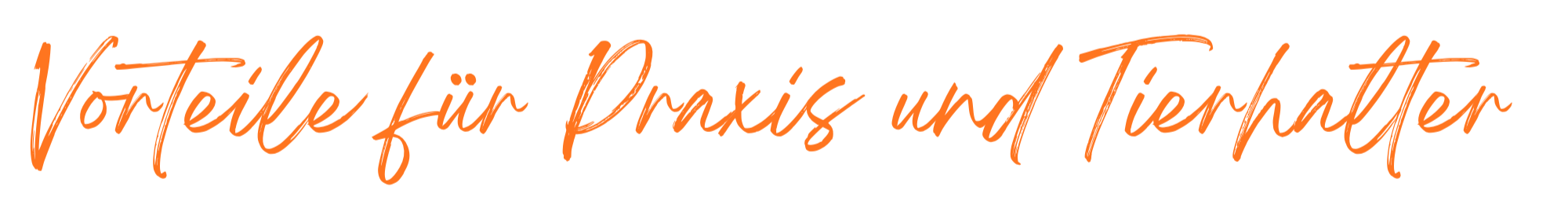 Der Text auf dem Bild lautet: "Vorteile für Praxis und Tierhalter" in orange Schrift auf schwarzem Hintergrund.