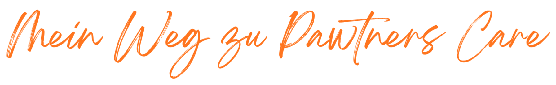 Der Text 'Mein Weg zu Partner's Care' in orange Schrift auf schwarzem Hintergrund.