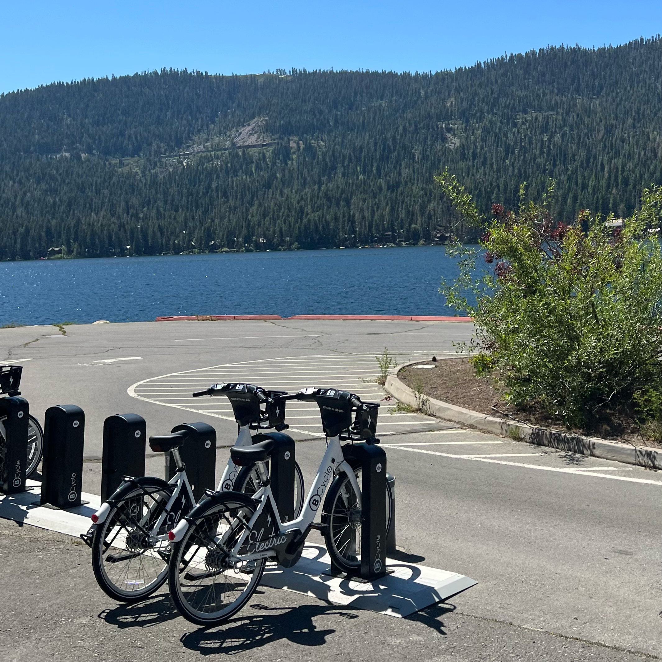 One of few BCycle stations with a lakeview