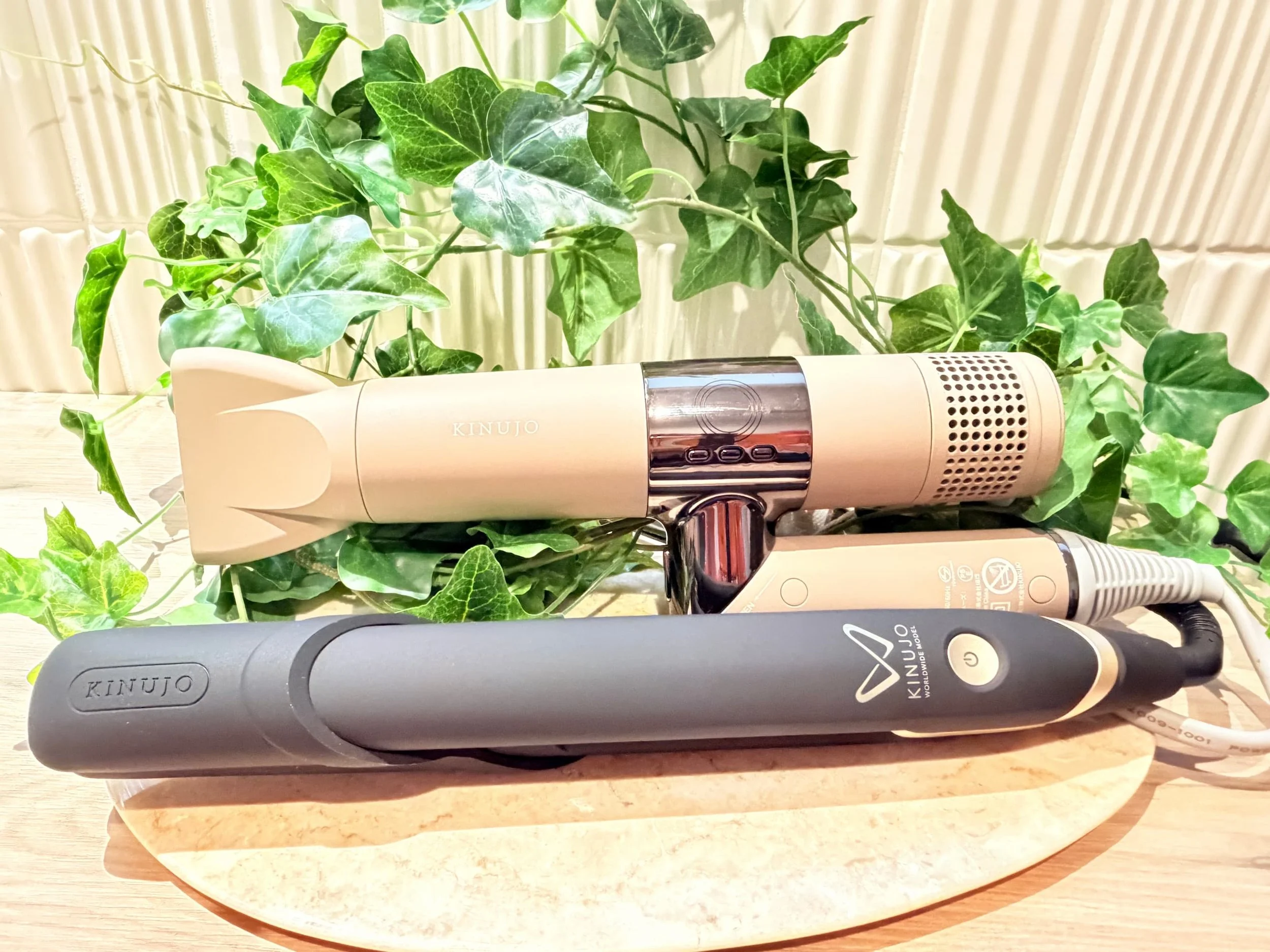 A photo of a table with a houseplant and a hair dryer on it