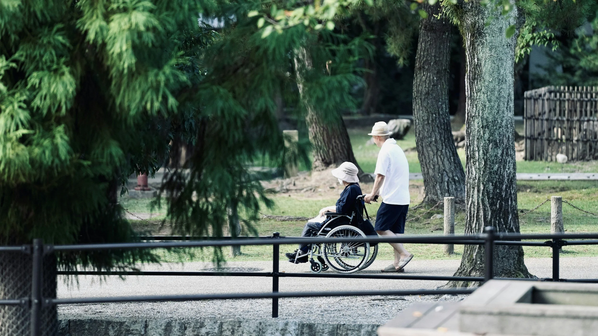 A man and a woman, the woman in a wheelchair, walking along a park path surrounded by trees.