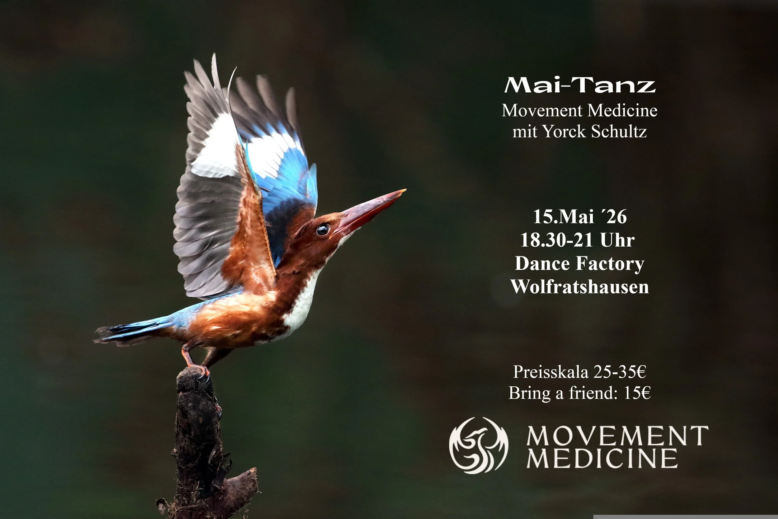 Vogel mit buntem Gefieder auf einem Ast, Werbetext für eine Veranstaltung am 15. Mai 2026 in Wolfratshausen, Movement Medicine.