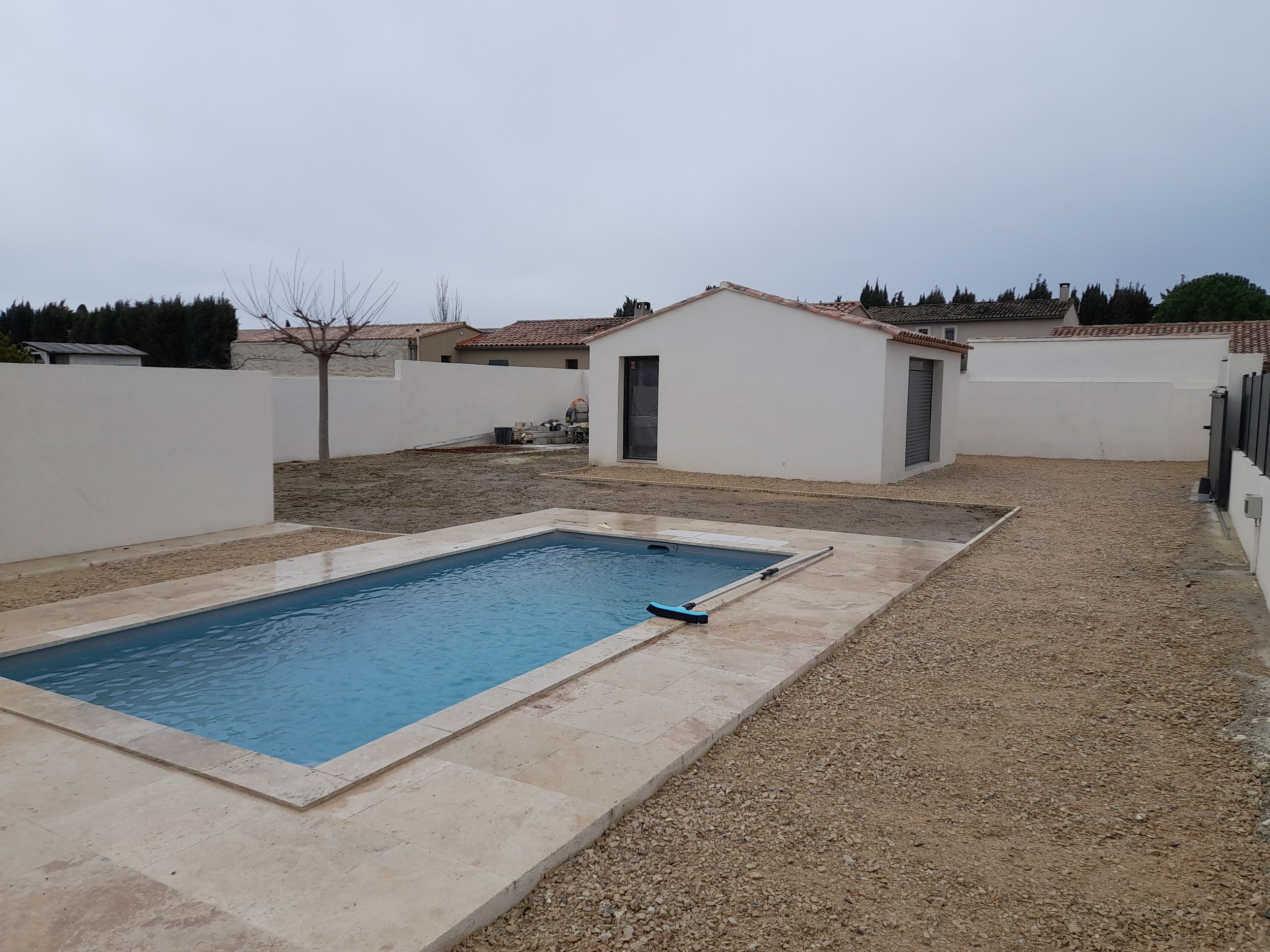 Un jardin avec une petite piscine, un mur blanc, une maison moderne, et un arbre sans feuilles à côté de la piscine, sous un ciel nuageux.