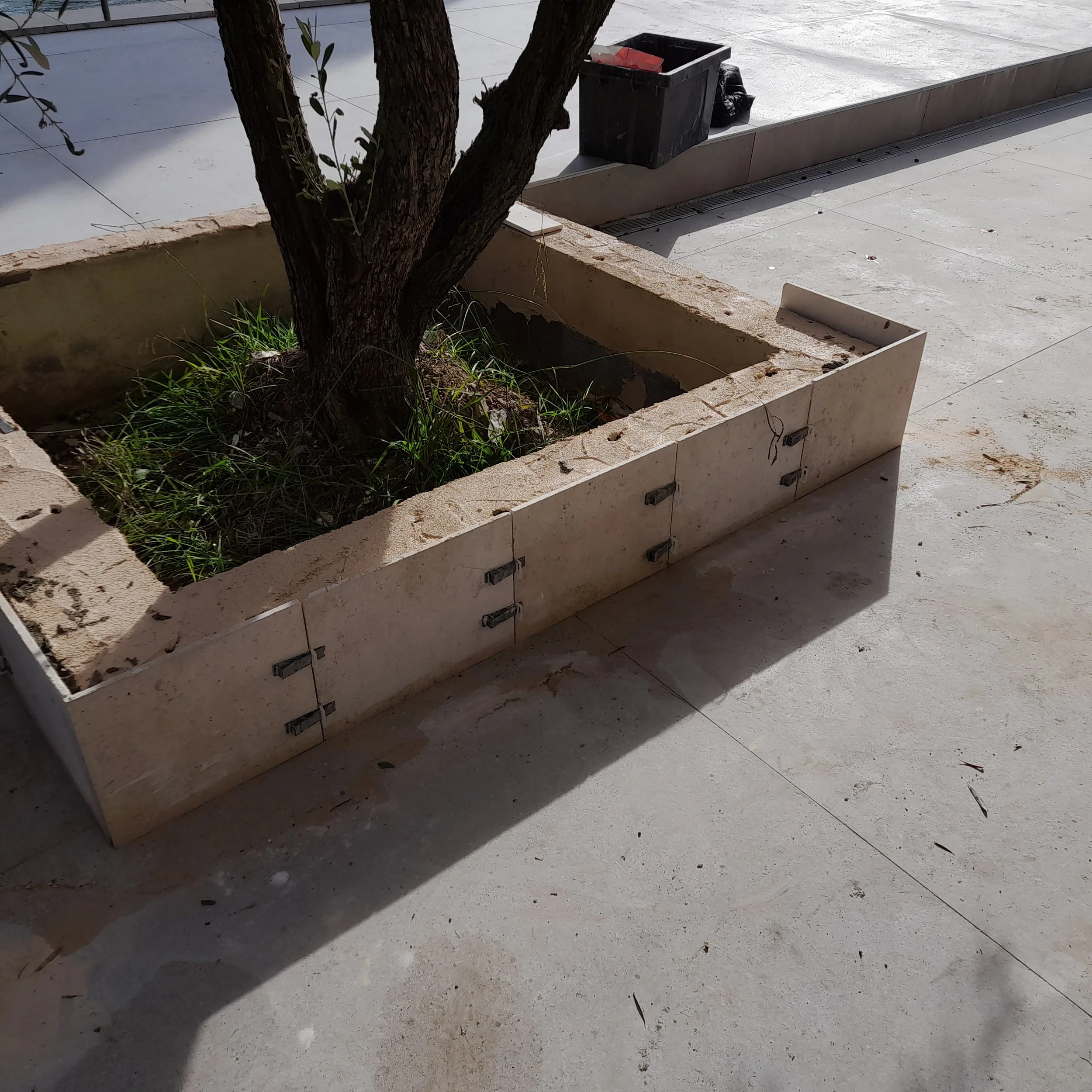 Arbre planté dans un grand bac en béton avec de la végétation autour, sur une surface extérieure en béton. Des poubelles noires et des sacs noirs se trouvent sur le sol en arrière-plan.