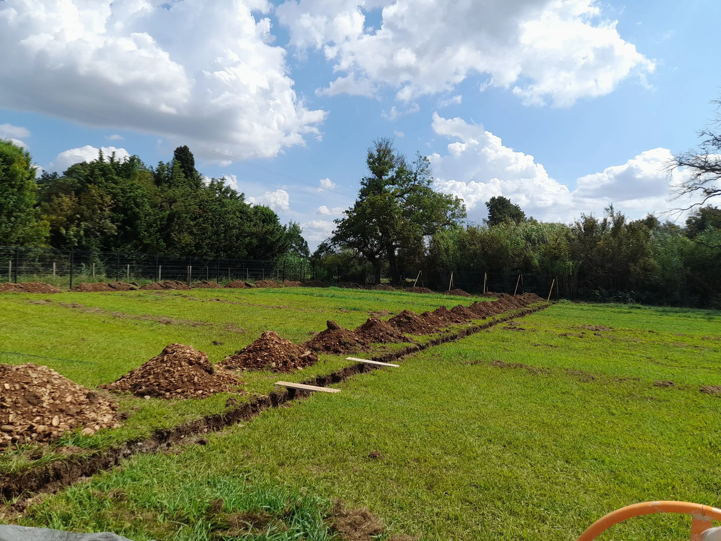Jardin en cours d'aménagement avec des rangées de terre préparée pour la plantation, arbres verts et ciel avec des nuages.