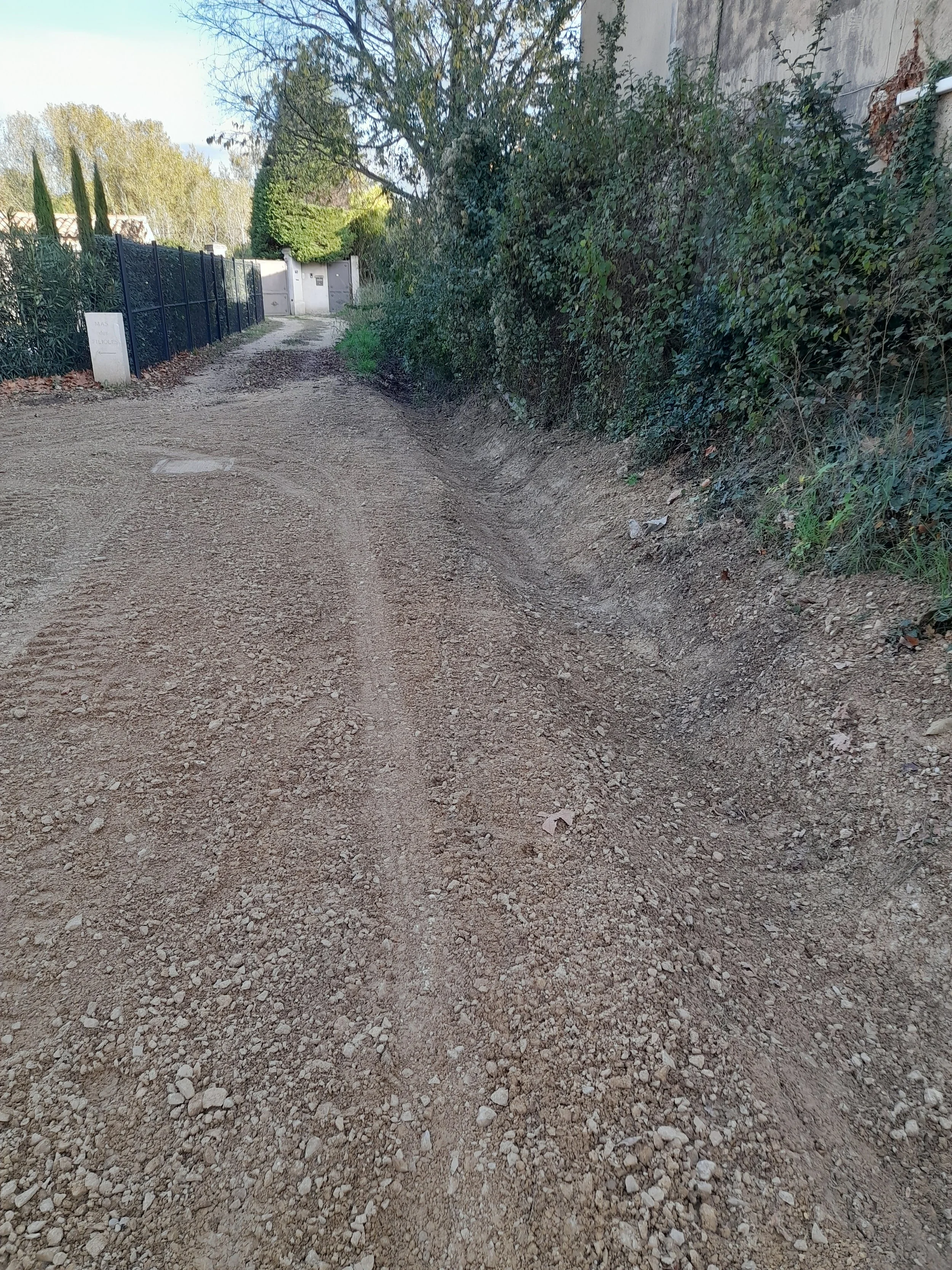 Chemin non goudronné avec des excréments d'animaux sur la route, bordé d'une haie dense d'arbustes et d'arbres.