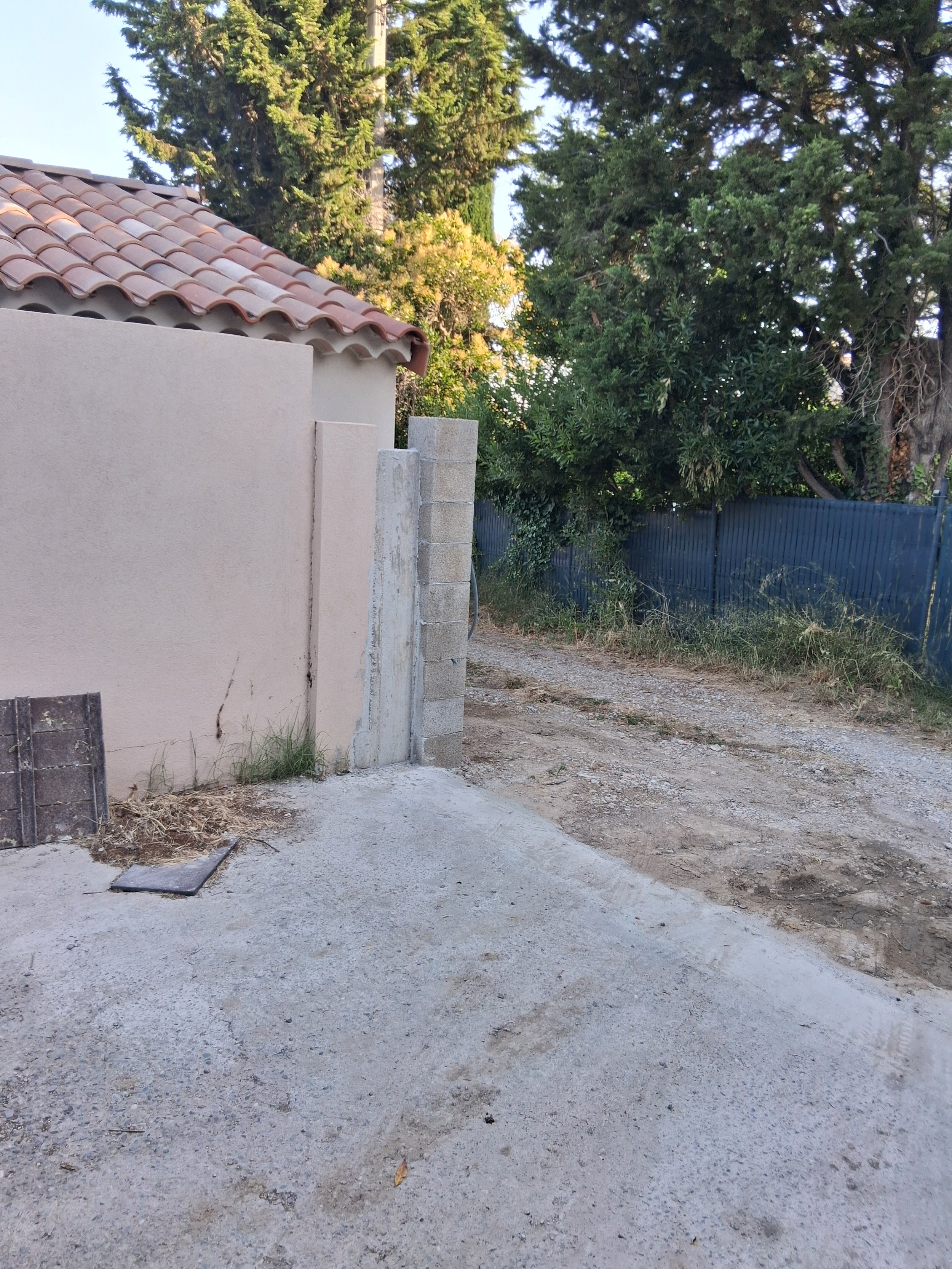 Une allée de terre avec des pavés, entourée de murs, de végétation et d'arbres, sous un ciel dégagé.