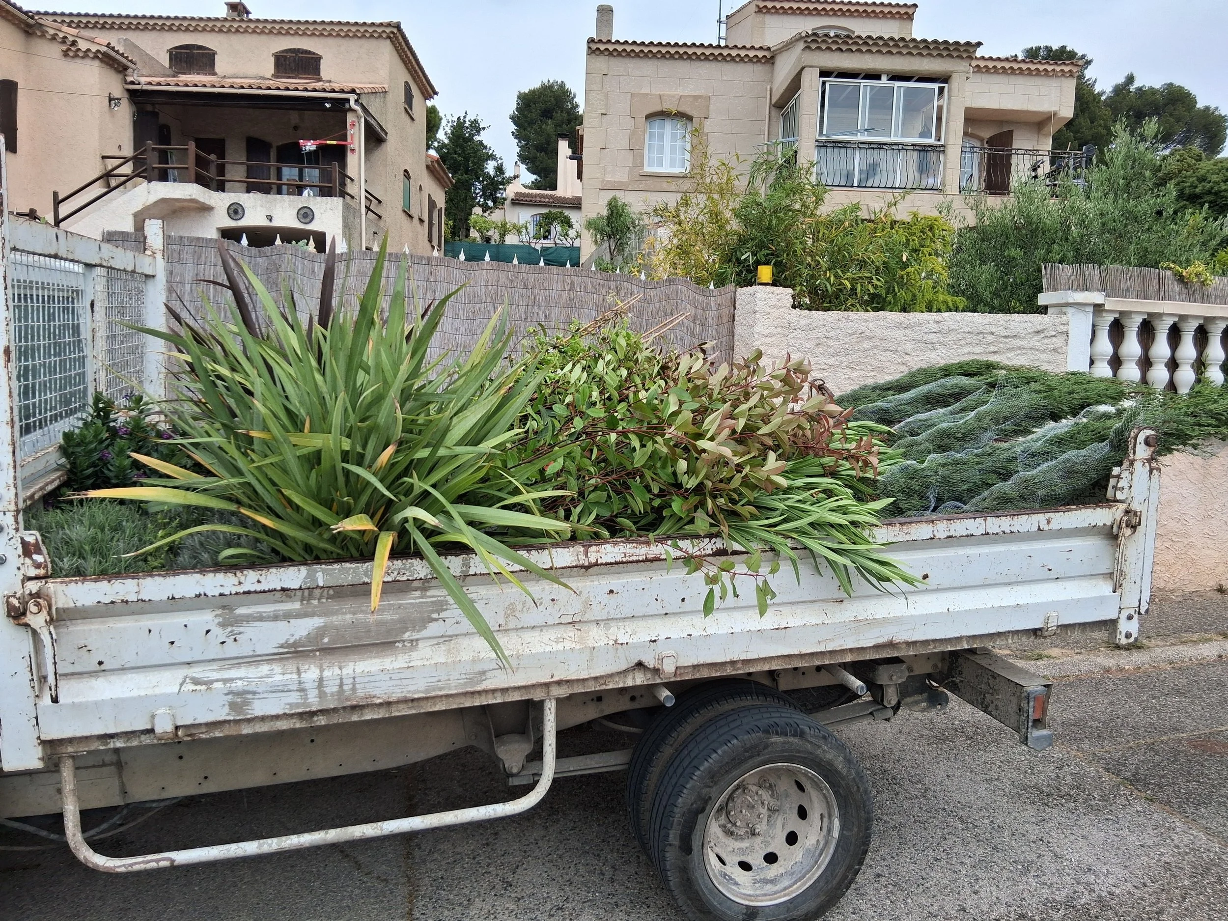 Une remorque de camion blanche contenant diverses plantes et feuillages verts, avec une maison en arrière-plan.