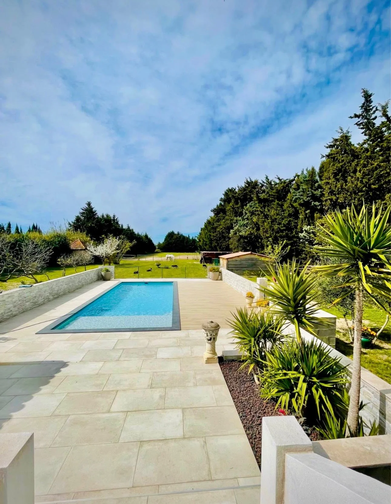 Piscine devant une terrasse en pierre, jardin avec arbres et chevaux au loin, ciel bleu avec quelques nuages.