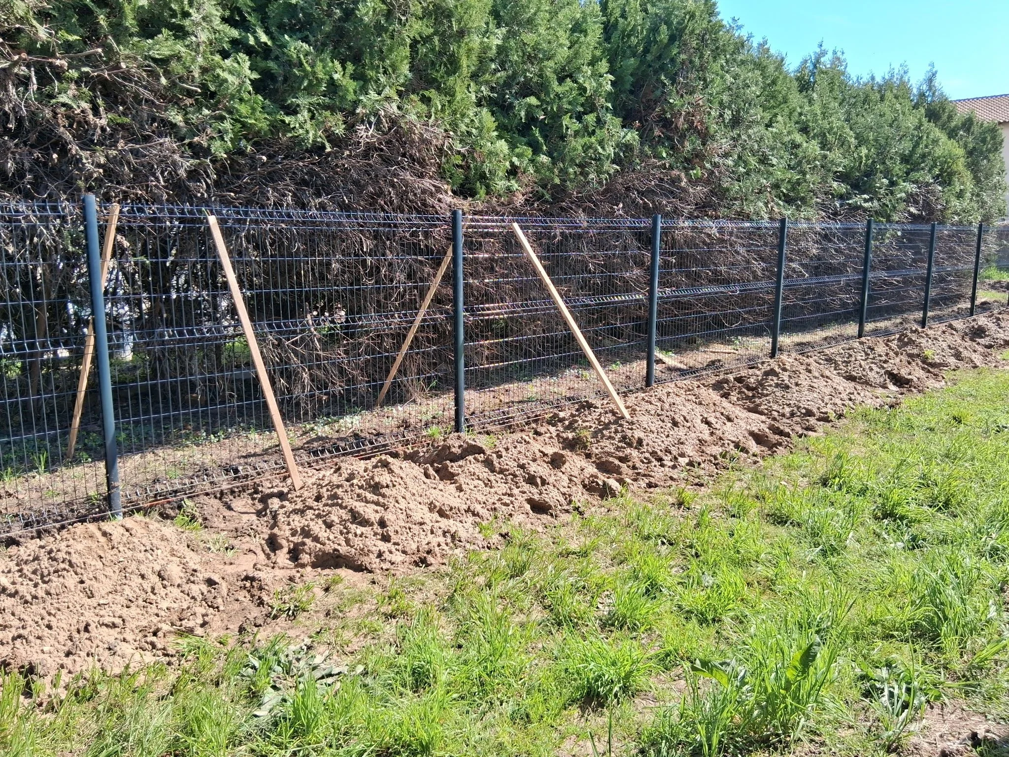 Une clôture en métal et des poteaux en bois délimitent une zone avec de la terre et de l'herbe. En arrière-plan, il y a un massif d'arbustes ou de buissons verts dense sous un ciel bleu clair.