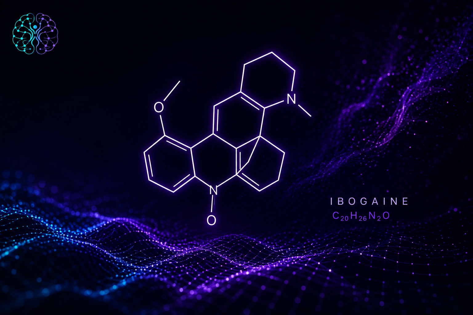 A New Iboga Microdosing Study Raises Important Questions for Brain Injury Recovery