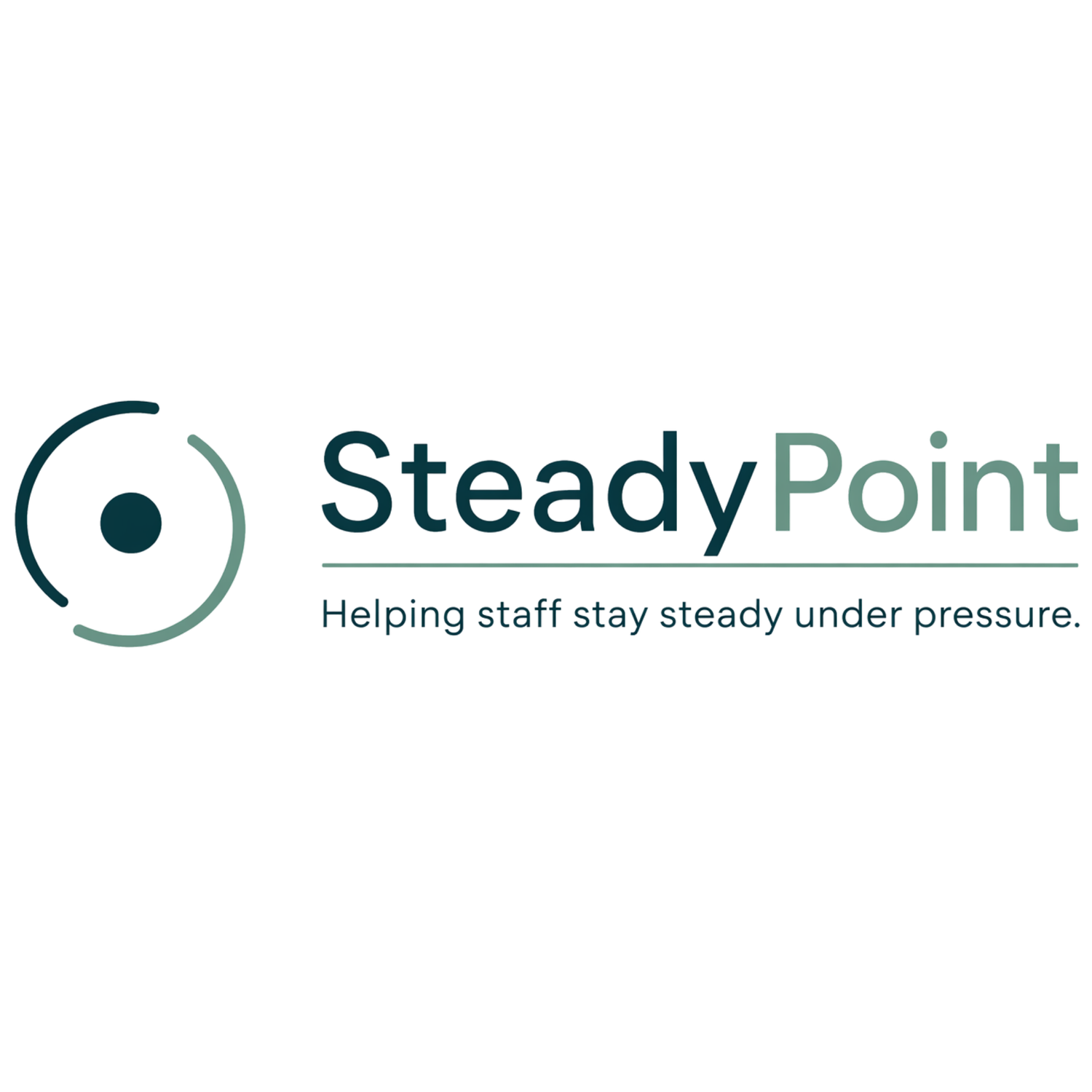 SteadyPoint
