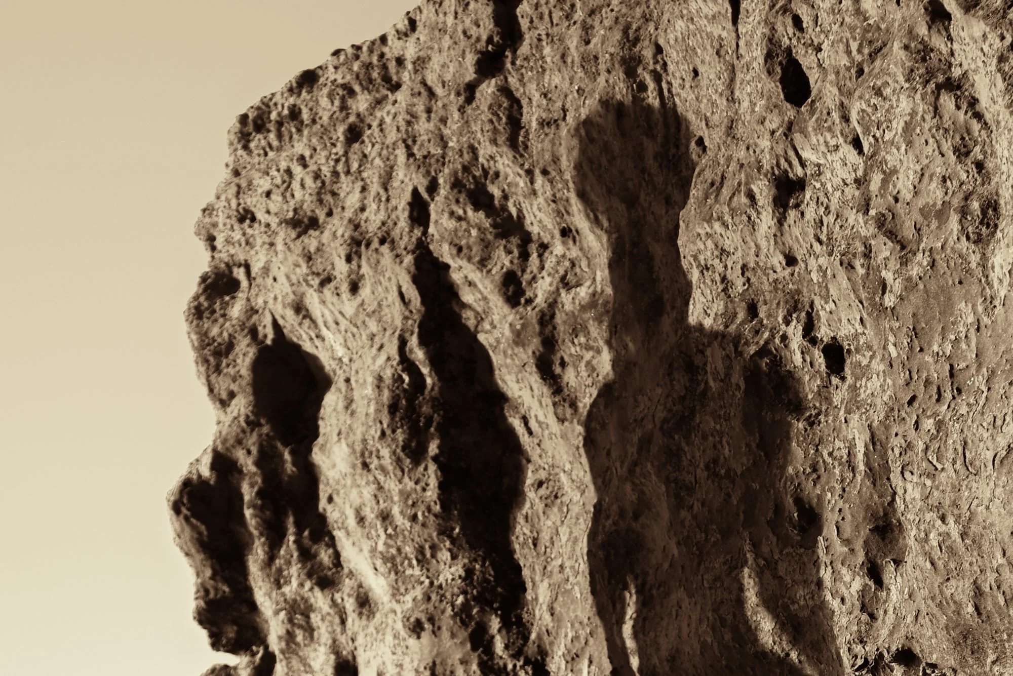 Cavallo_Milla_06.jpg