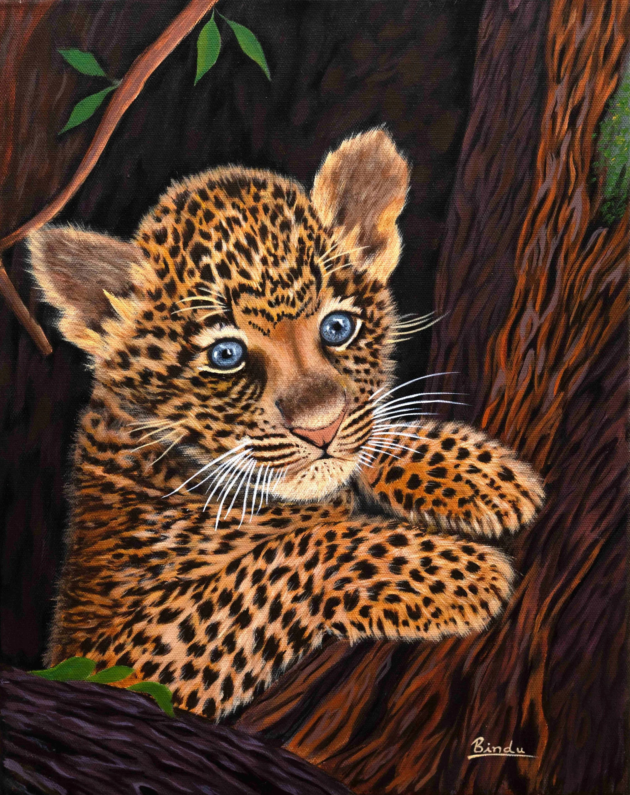 DSC_2129 cub.jpg
